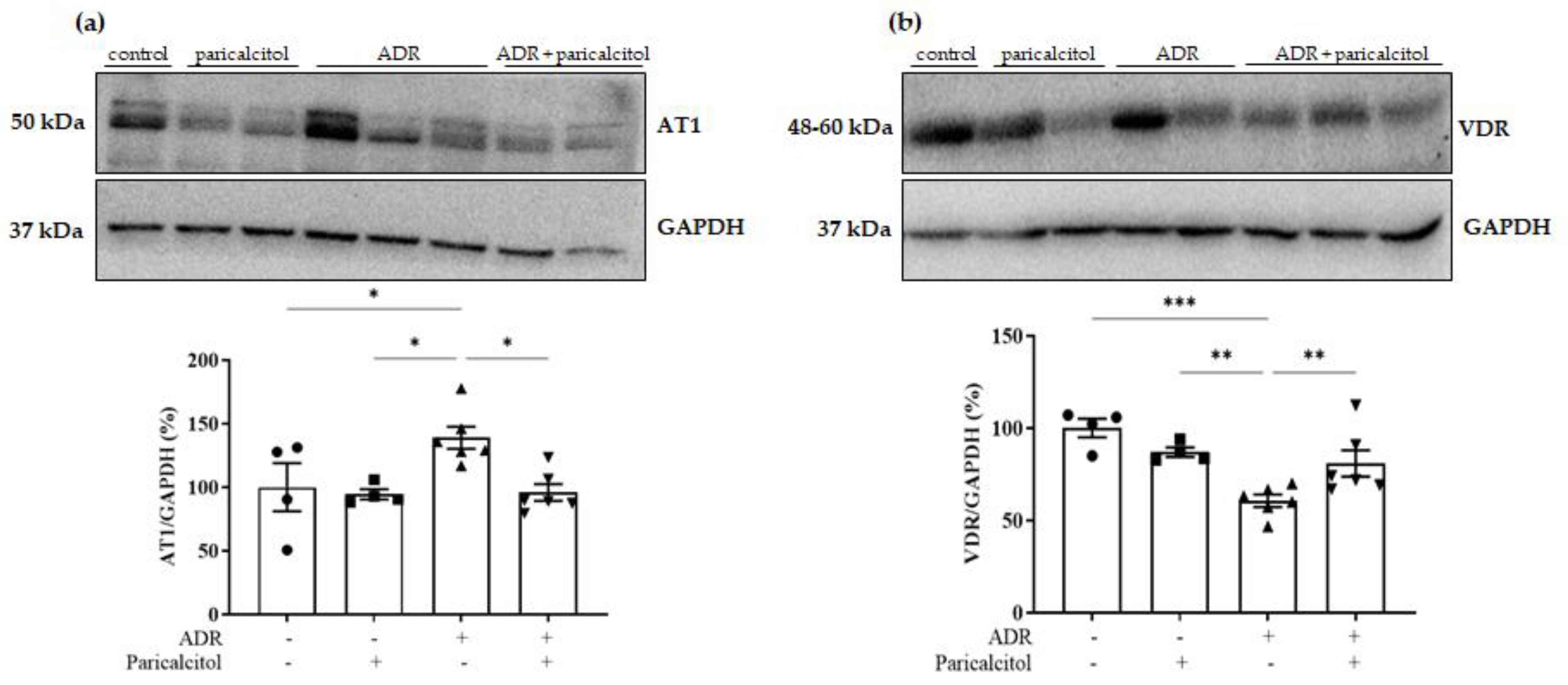 Nutrients 14 05316 g011 Nutrients 14 05316 g011