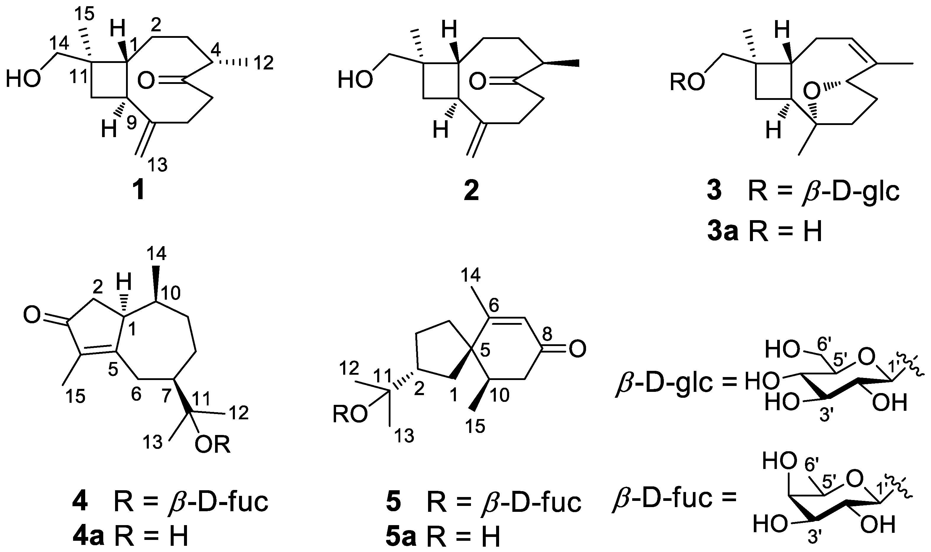 Nutrients 14 05348 g001