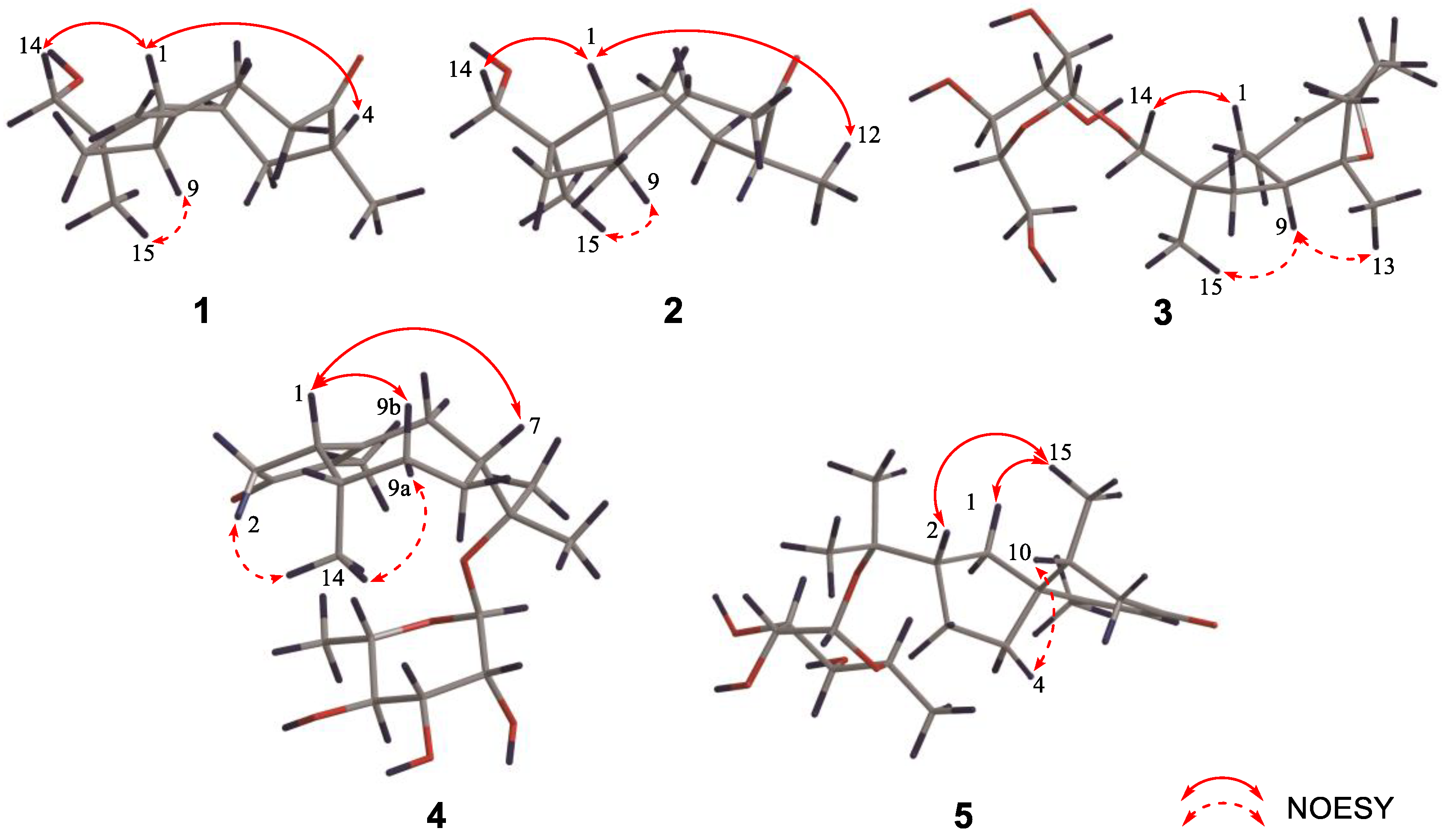 Nutrients 14 05348 g003