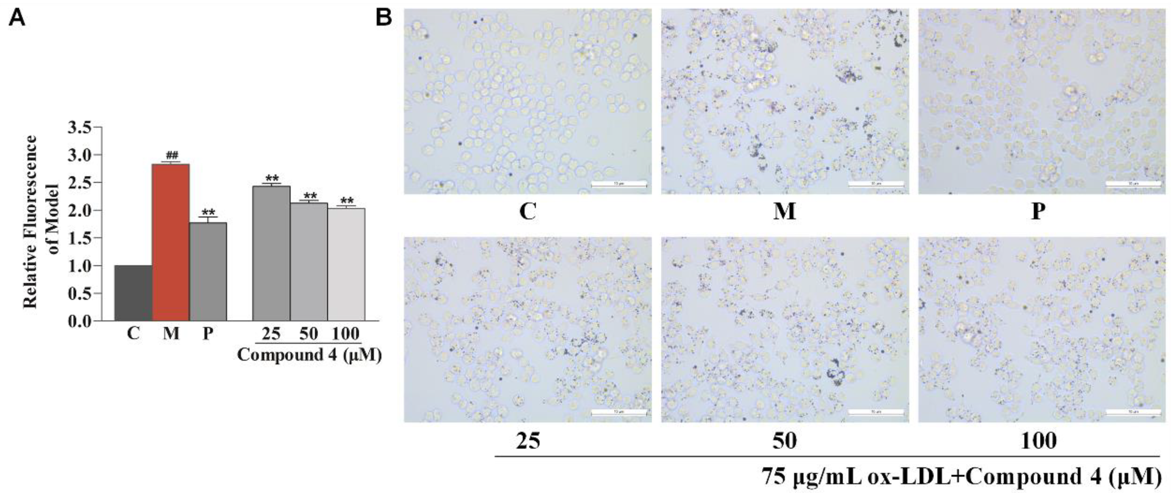 Nutrients 14 05348 g006