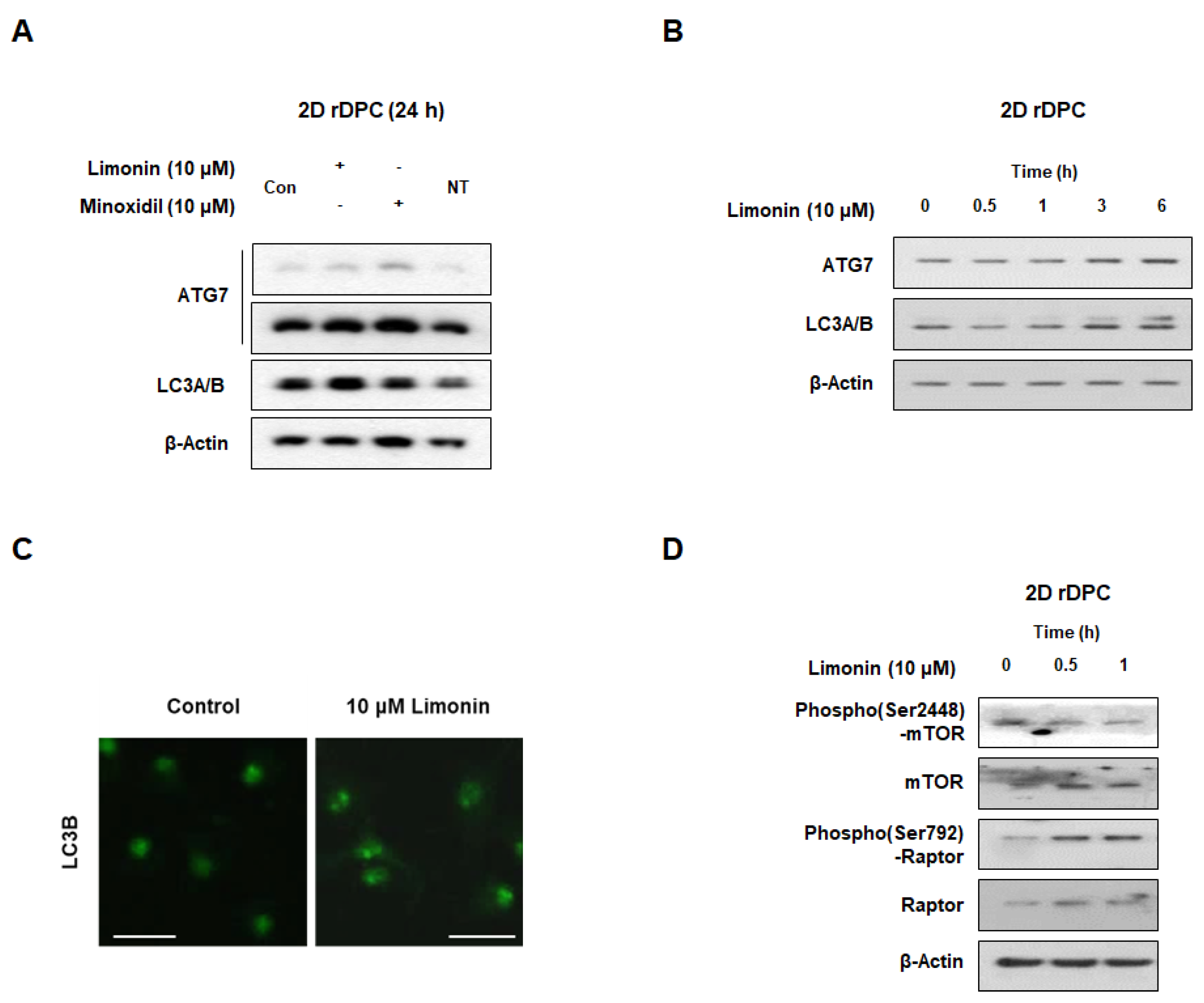 Nutrients 14 05358 g002