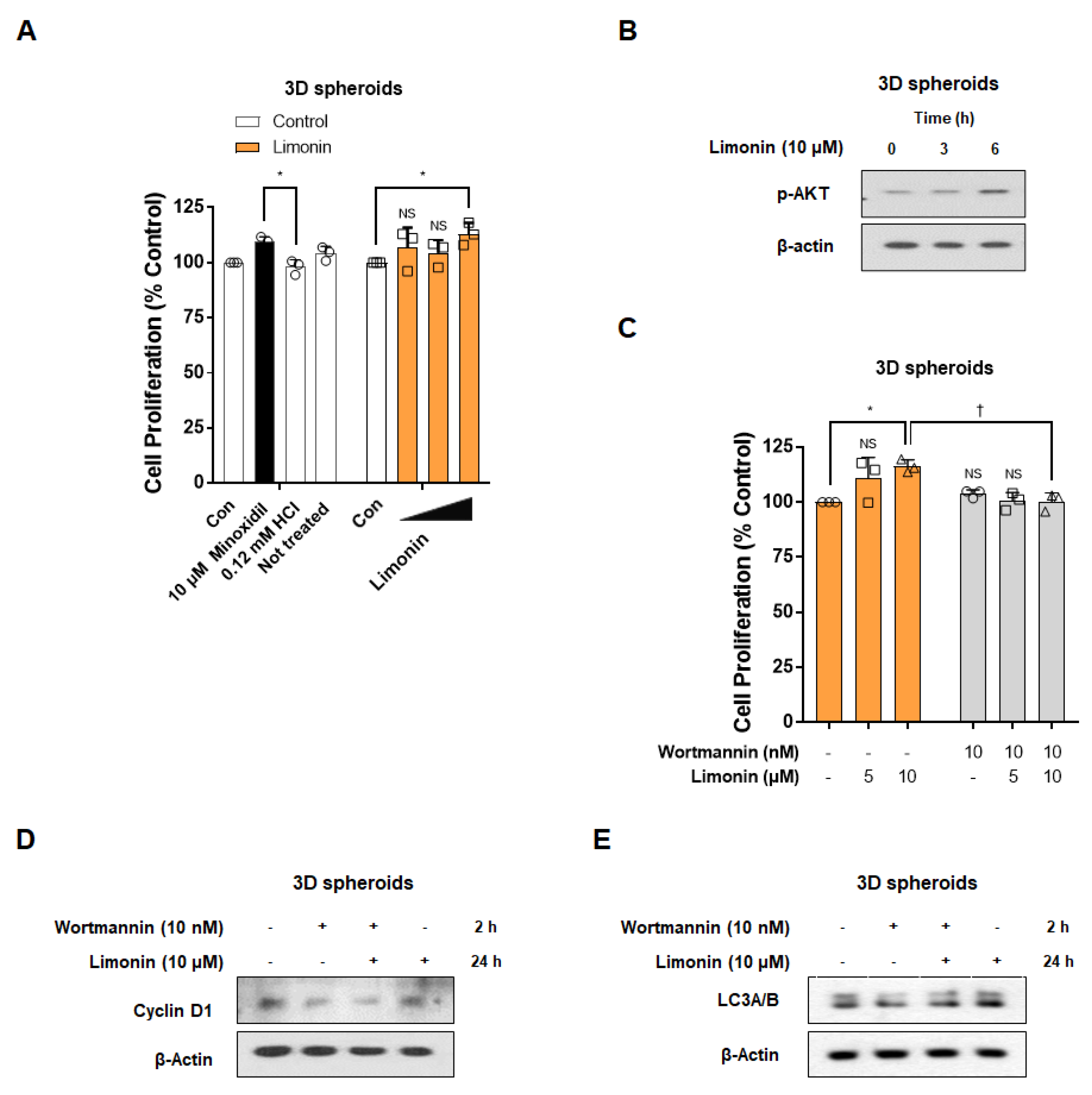 Nutrients 14 05358 g005