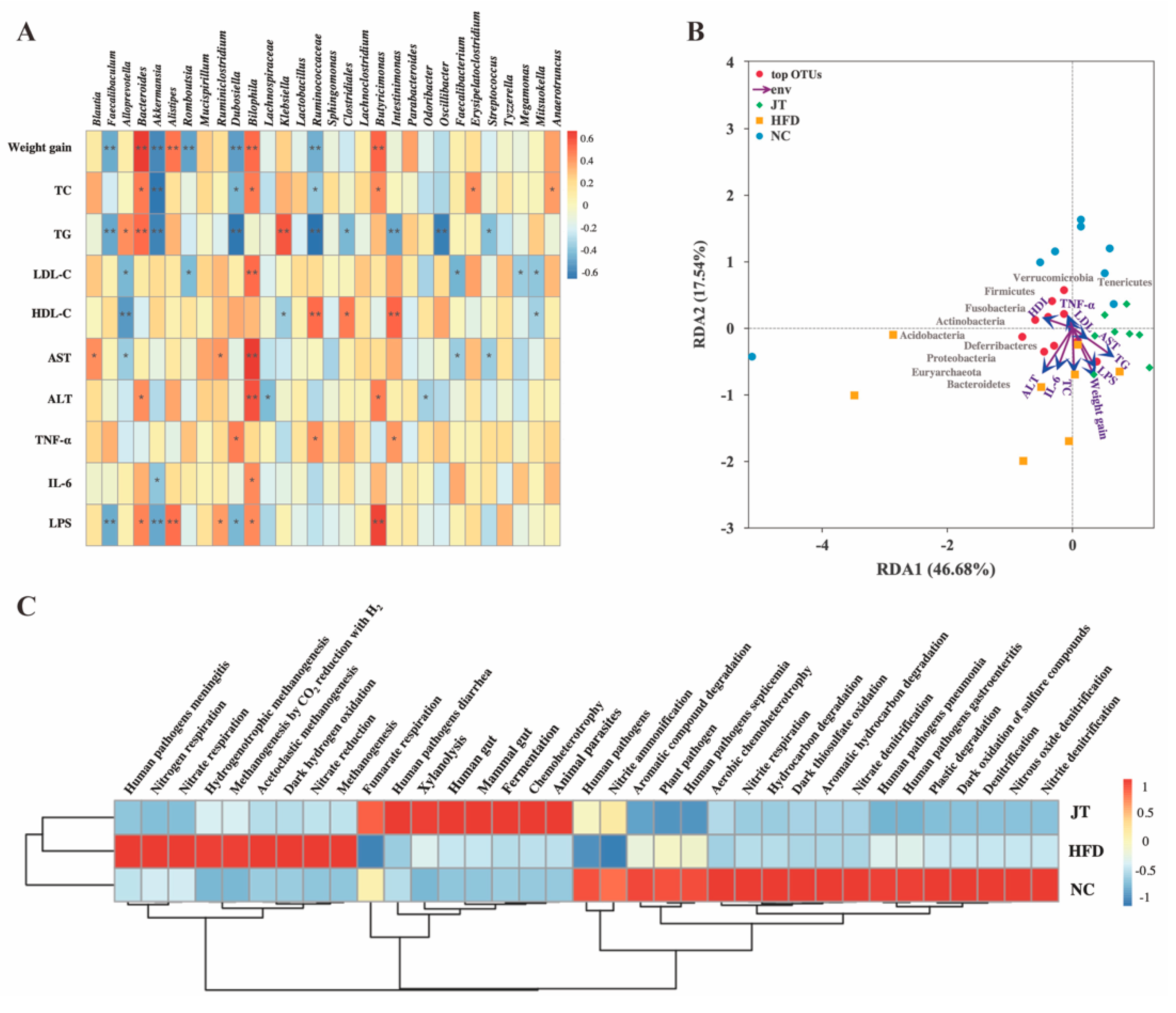 Nutrients 14 05359 g007 Nutrients 14 05359 g007