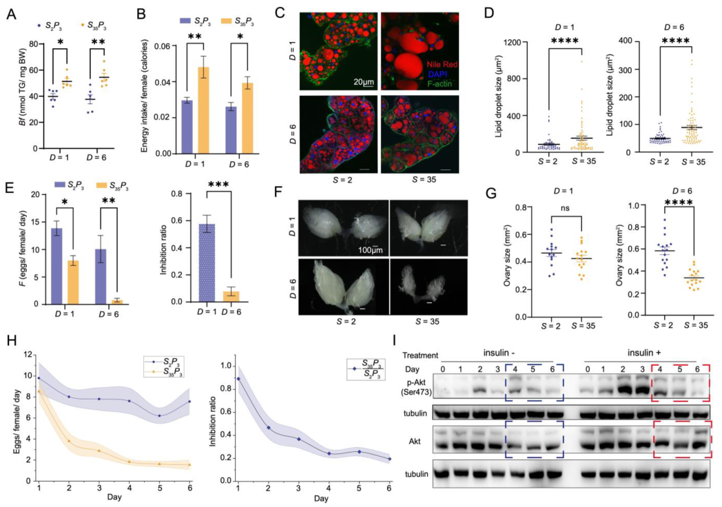 Nutrients 14 05365 g003 Nutrients 14 05365 g003