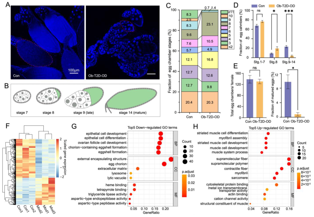 Nutrients 14 05365 g004 Nutrients 14 05365 g004