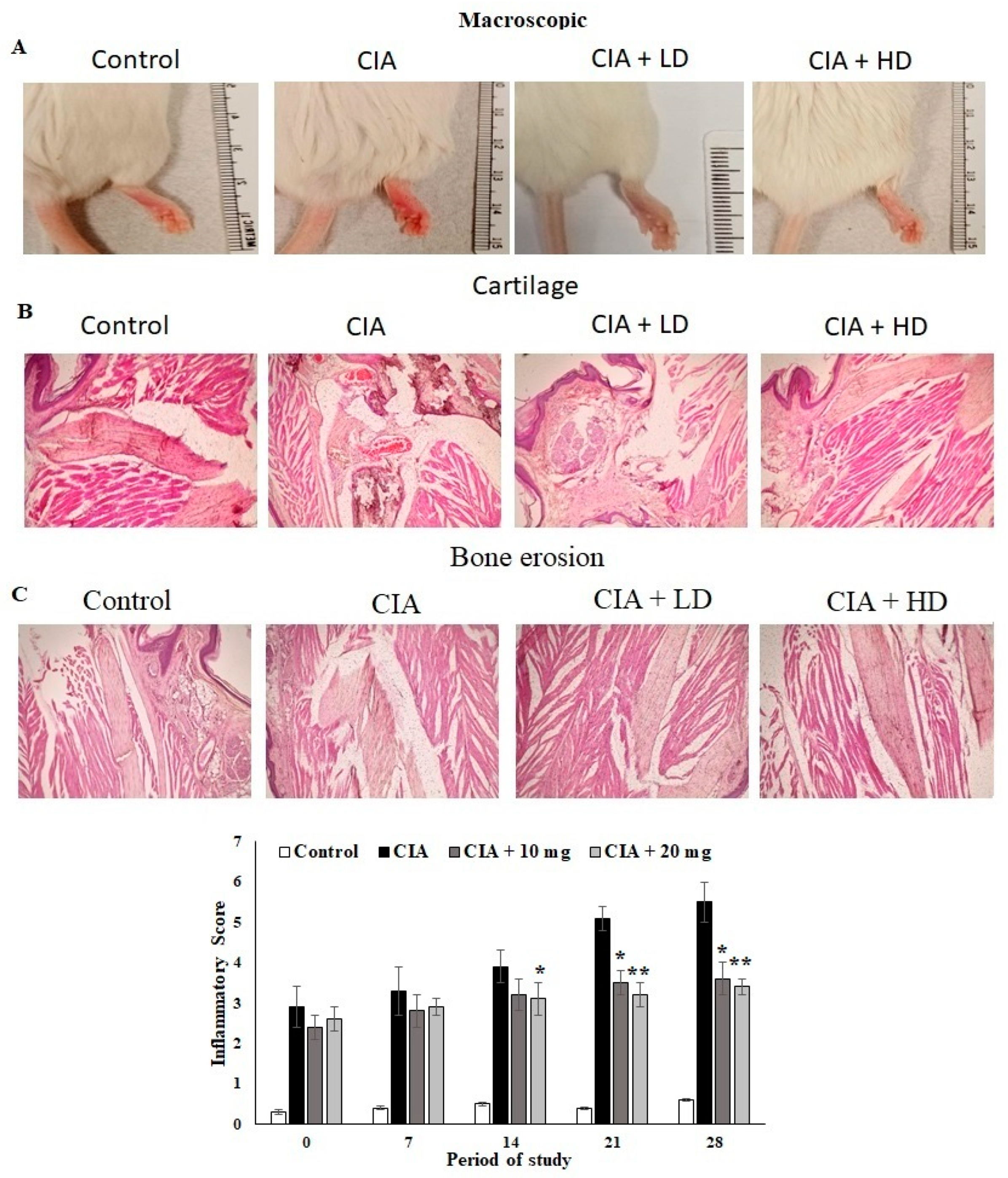 Nutrients 14 05366 g003
