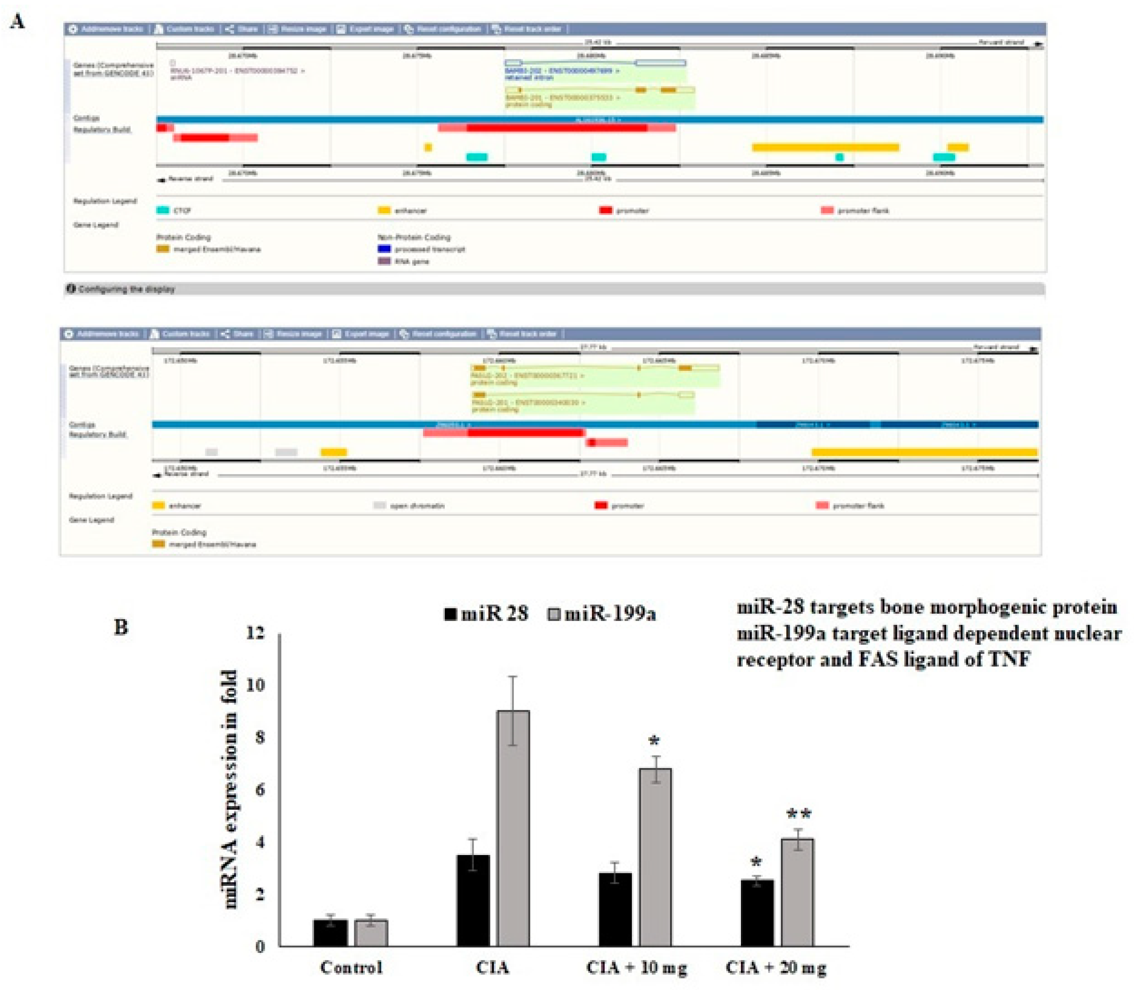 Nutrients 14 05366 g007