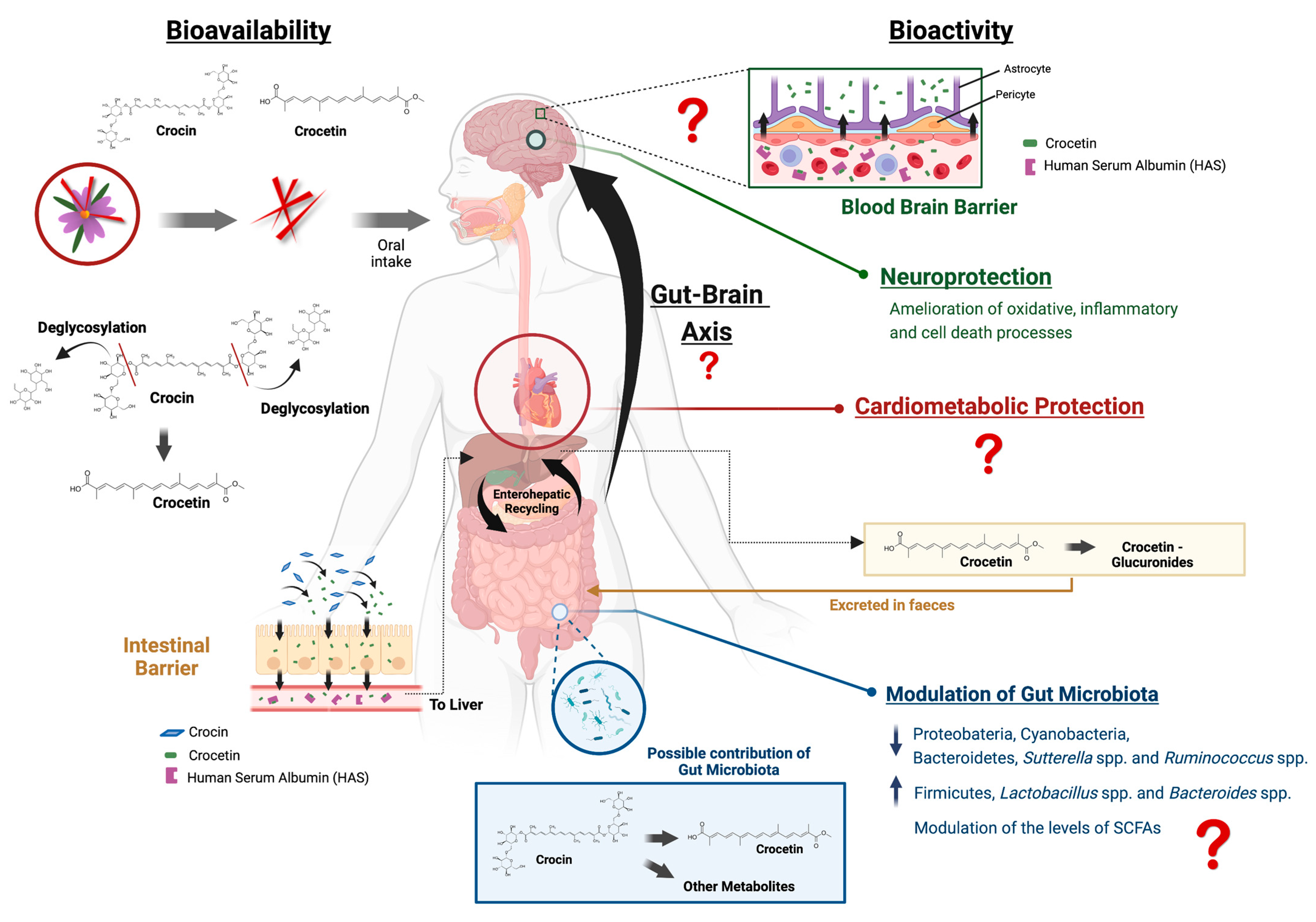 Nutrients 14 05368 g003