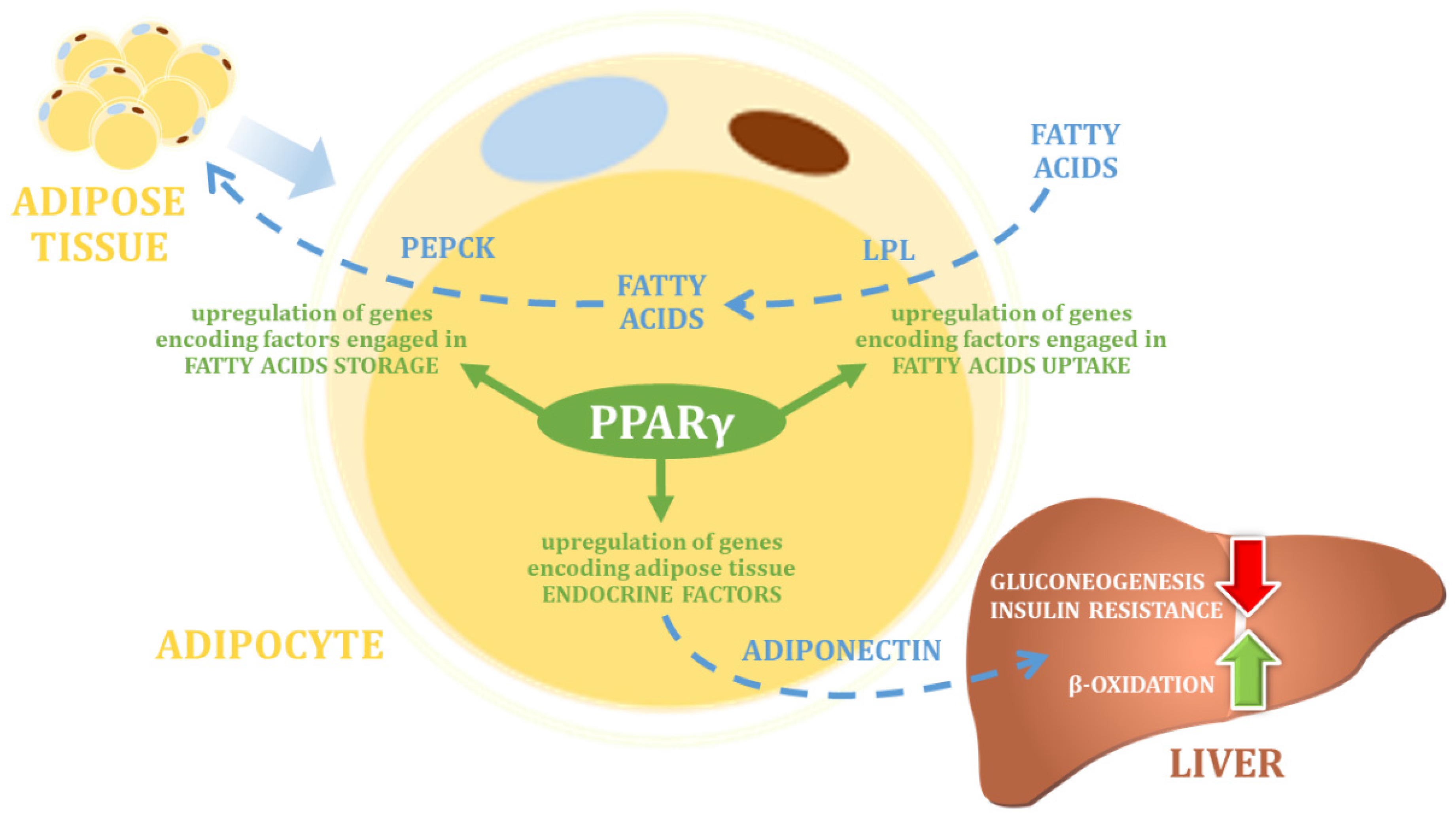Nutrients 14 05378 g002