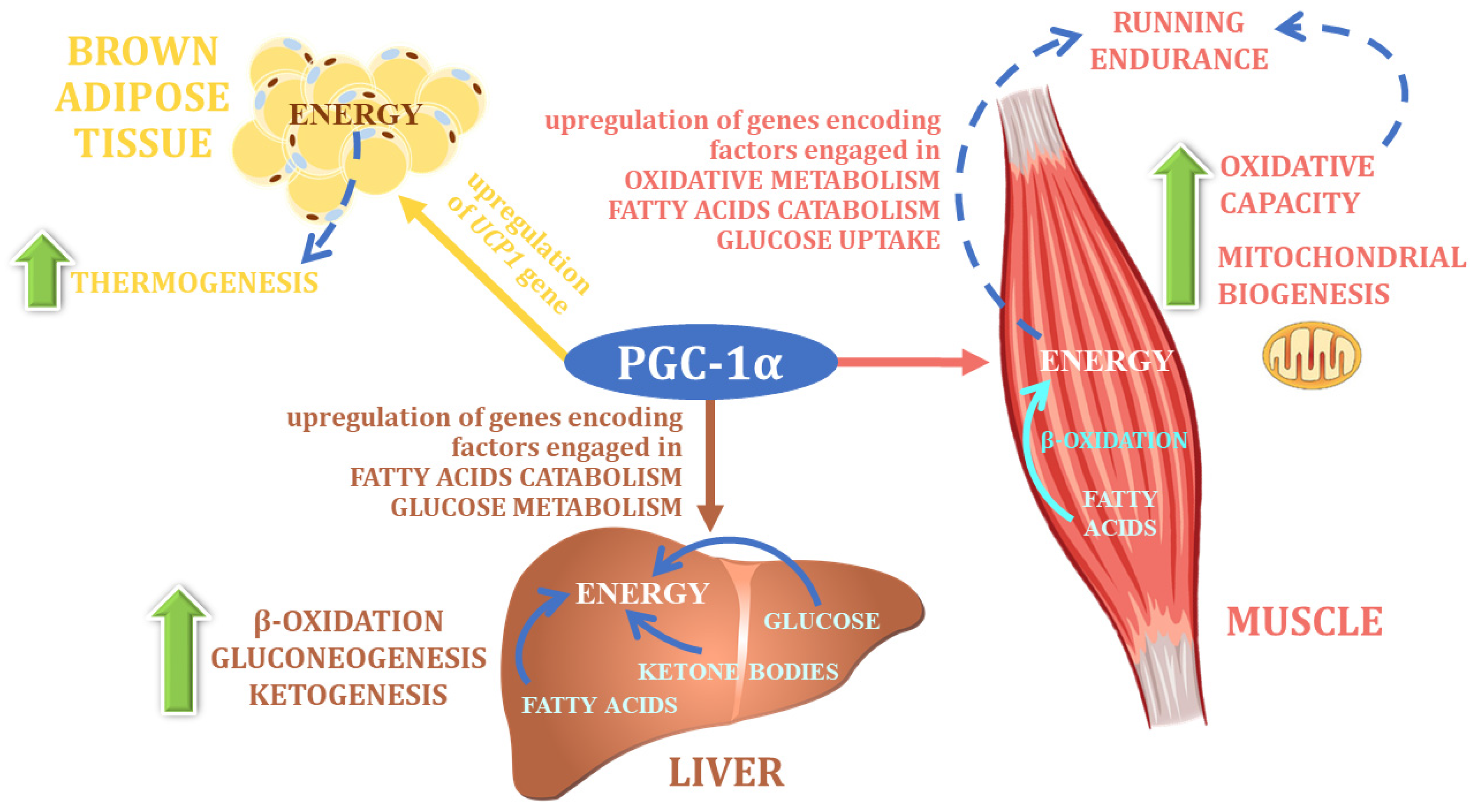 Nutrients 14 05378 g005
