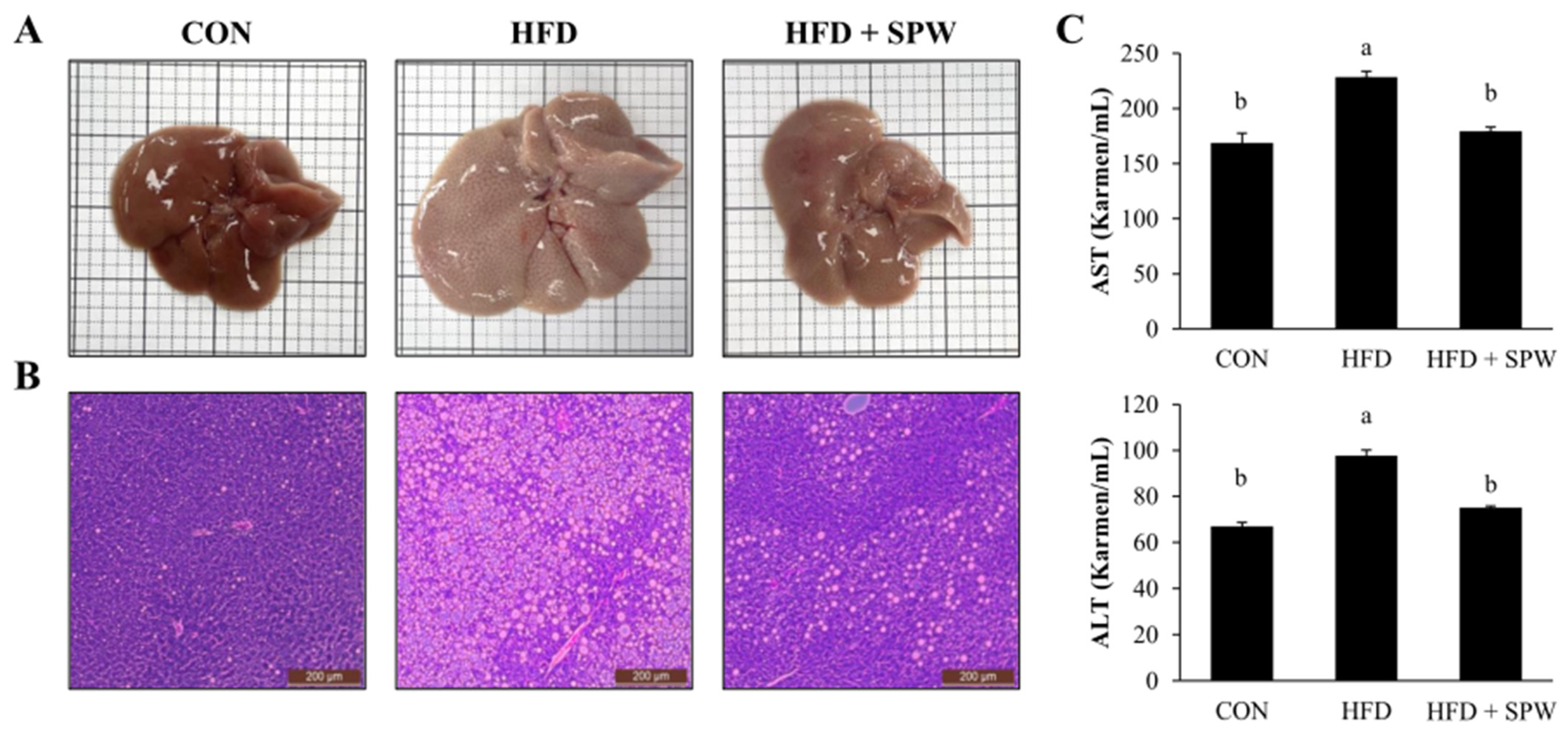 Nutrients 14 05379 g004 Nutrients 14 05379 g004