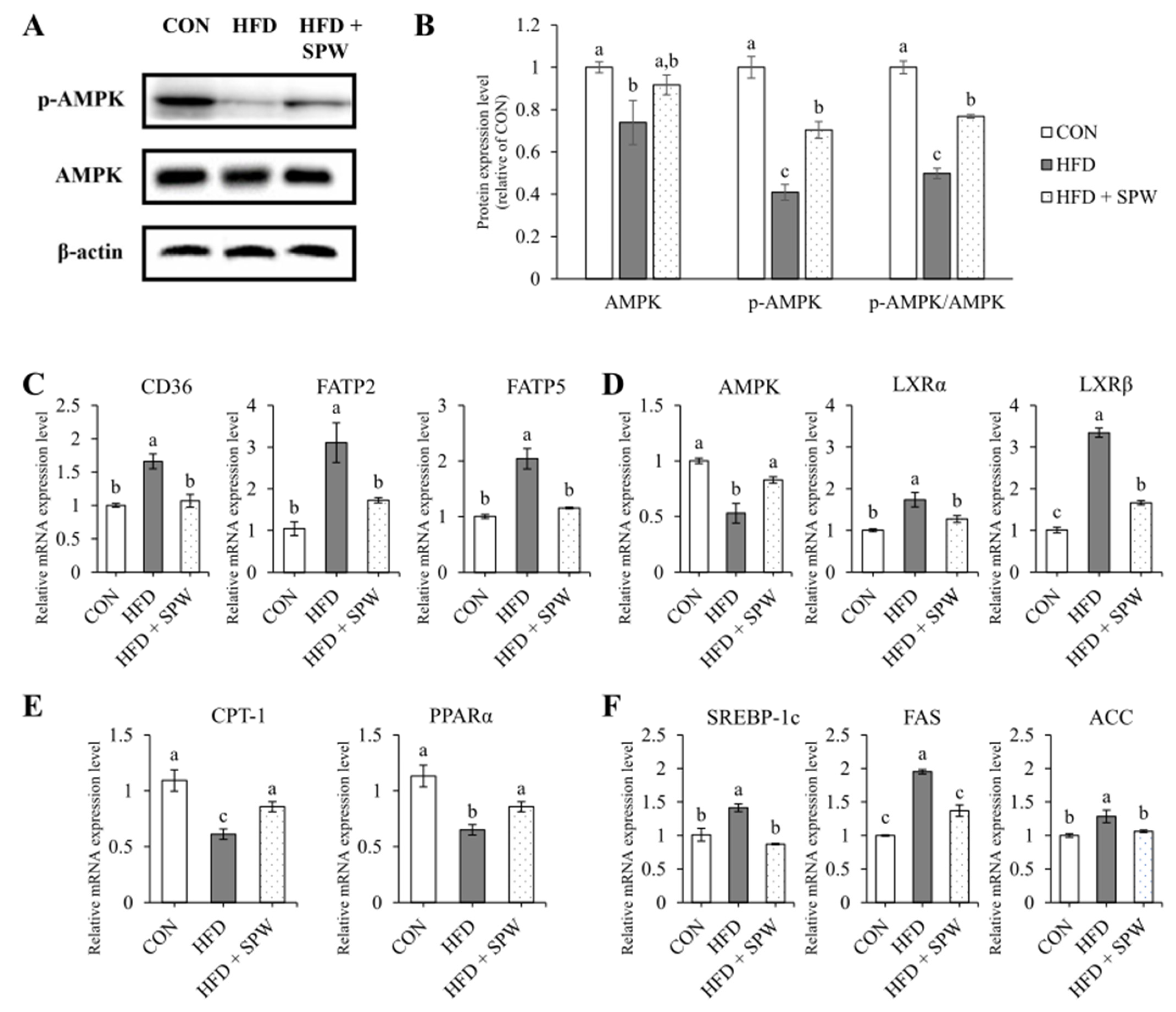 Nutrients 14 05379 g005 Nutrients 14 05379 g005