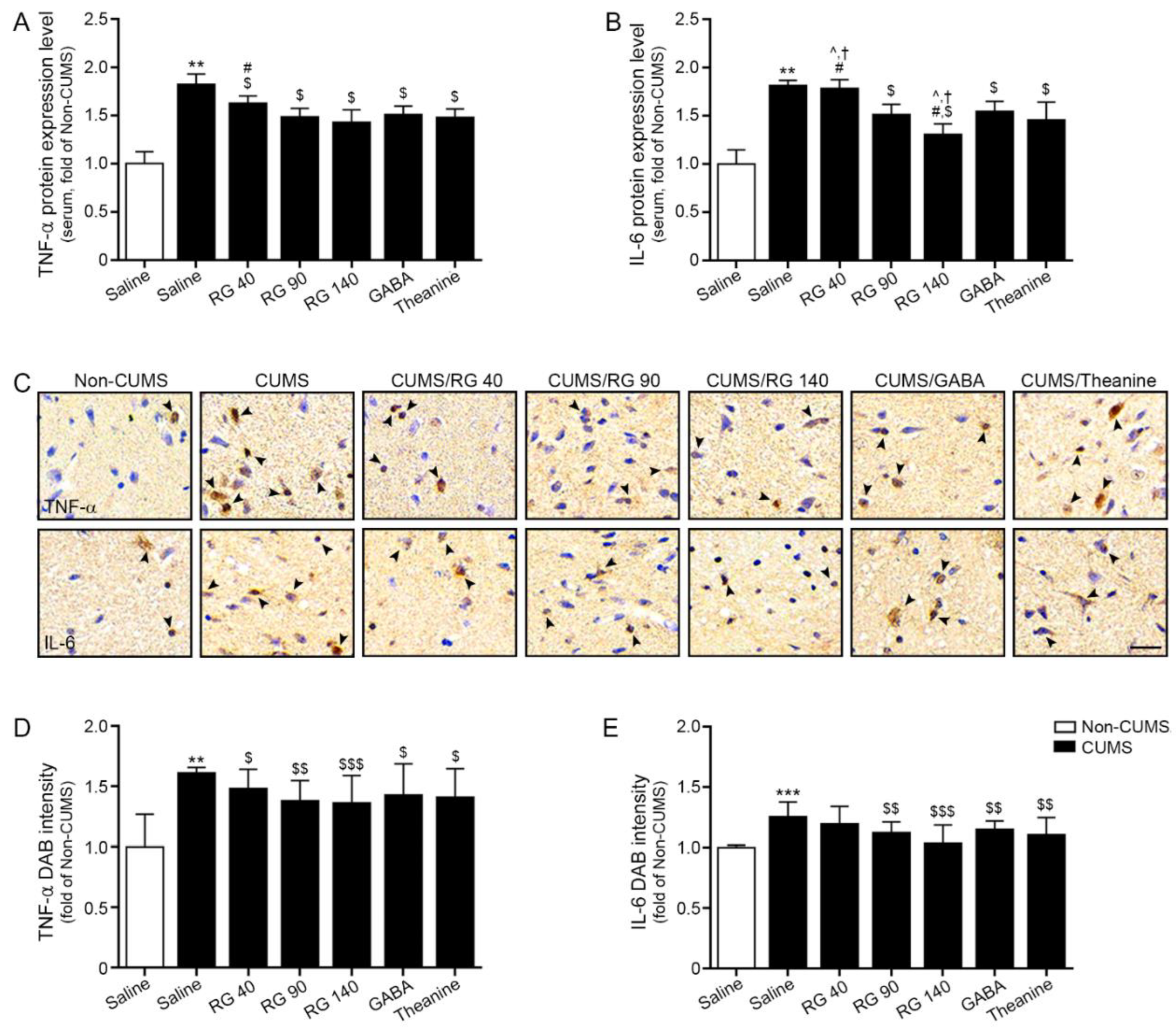 Nutrients 14 05382 g001 Nutrients 14 05382 g001