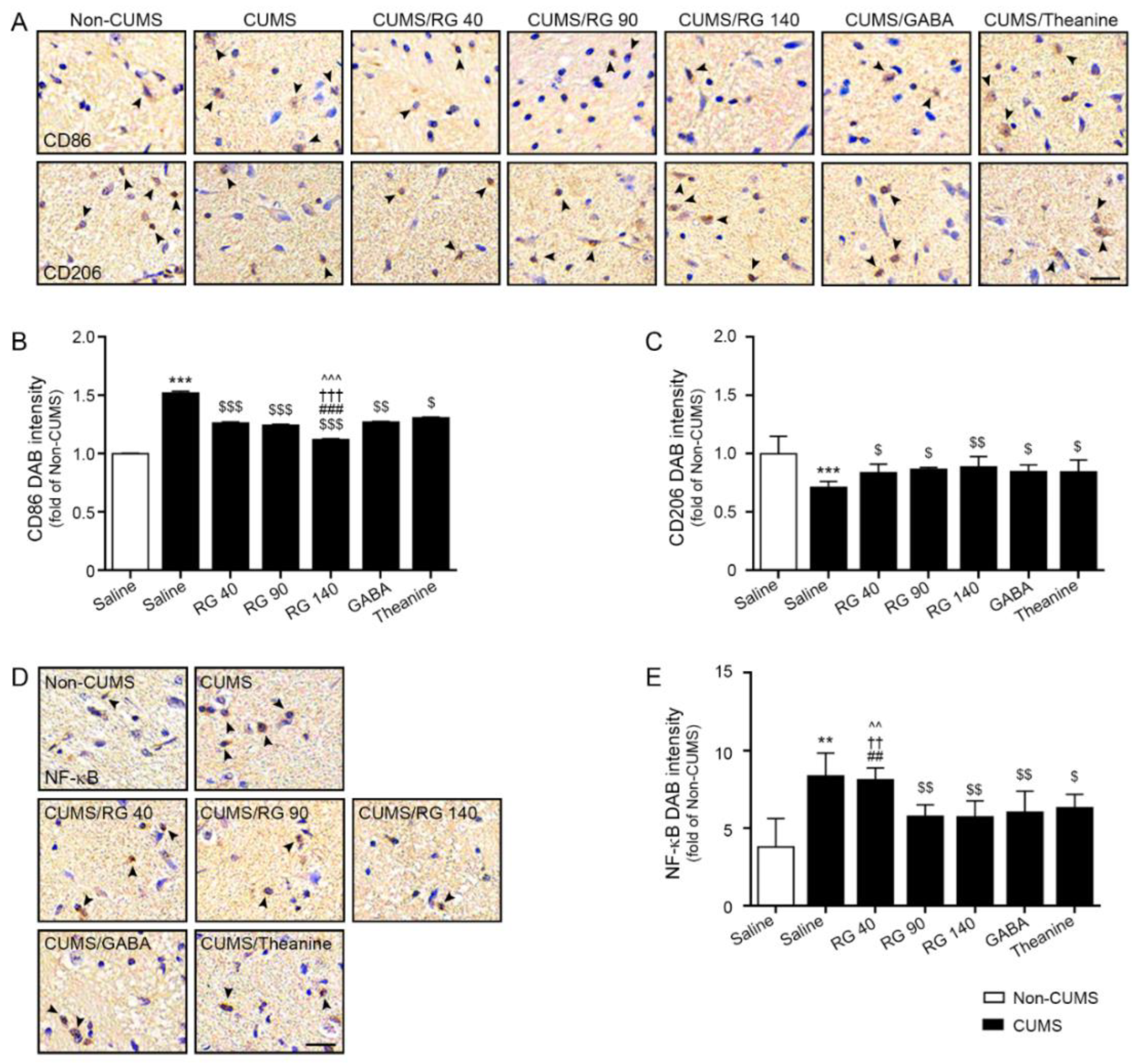 Nutrients 14 05382 g002 Nutrients 14 05382 g002