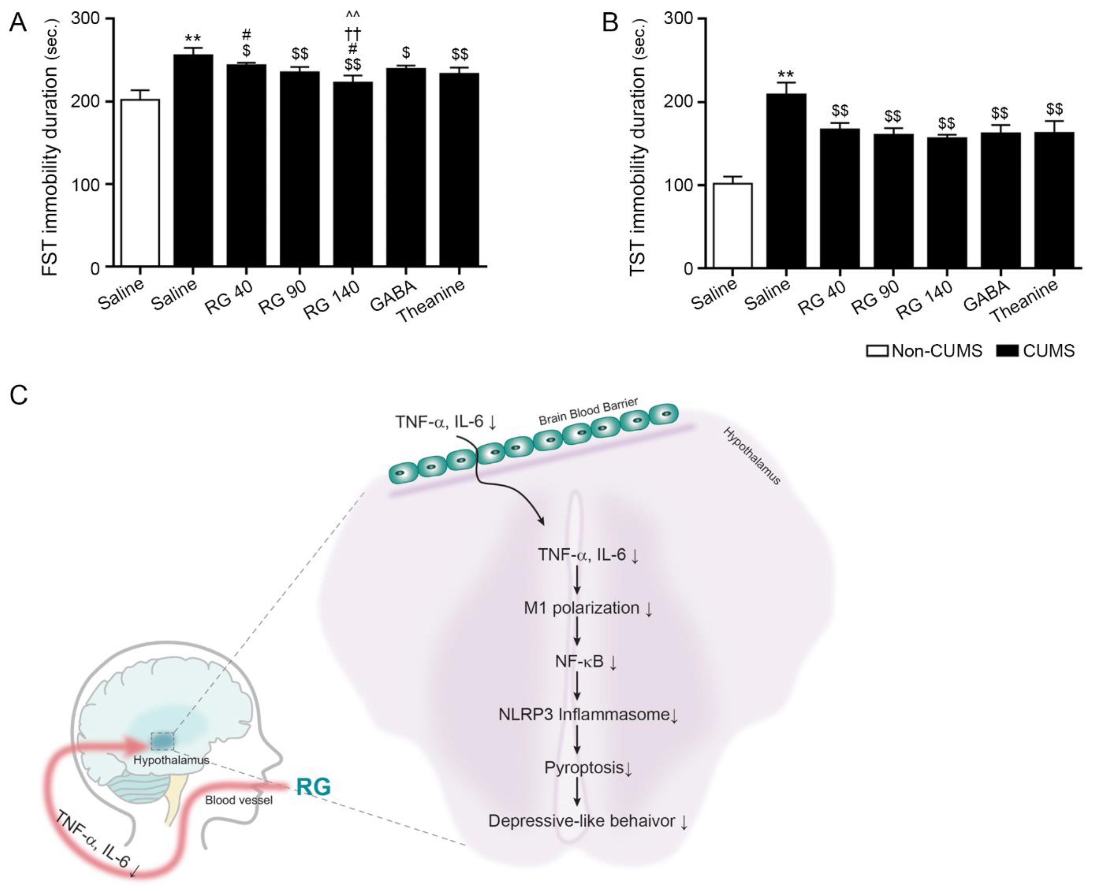 Nutrients 14 05382 g004 Nutrients 14 05382 g004