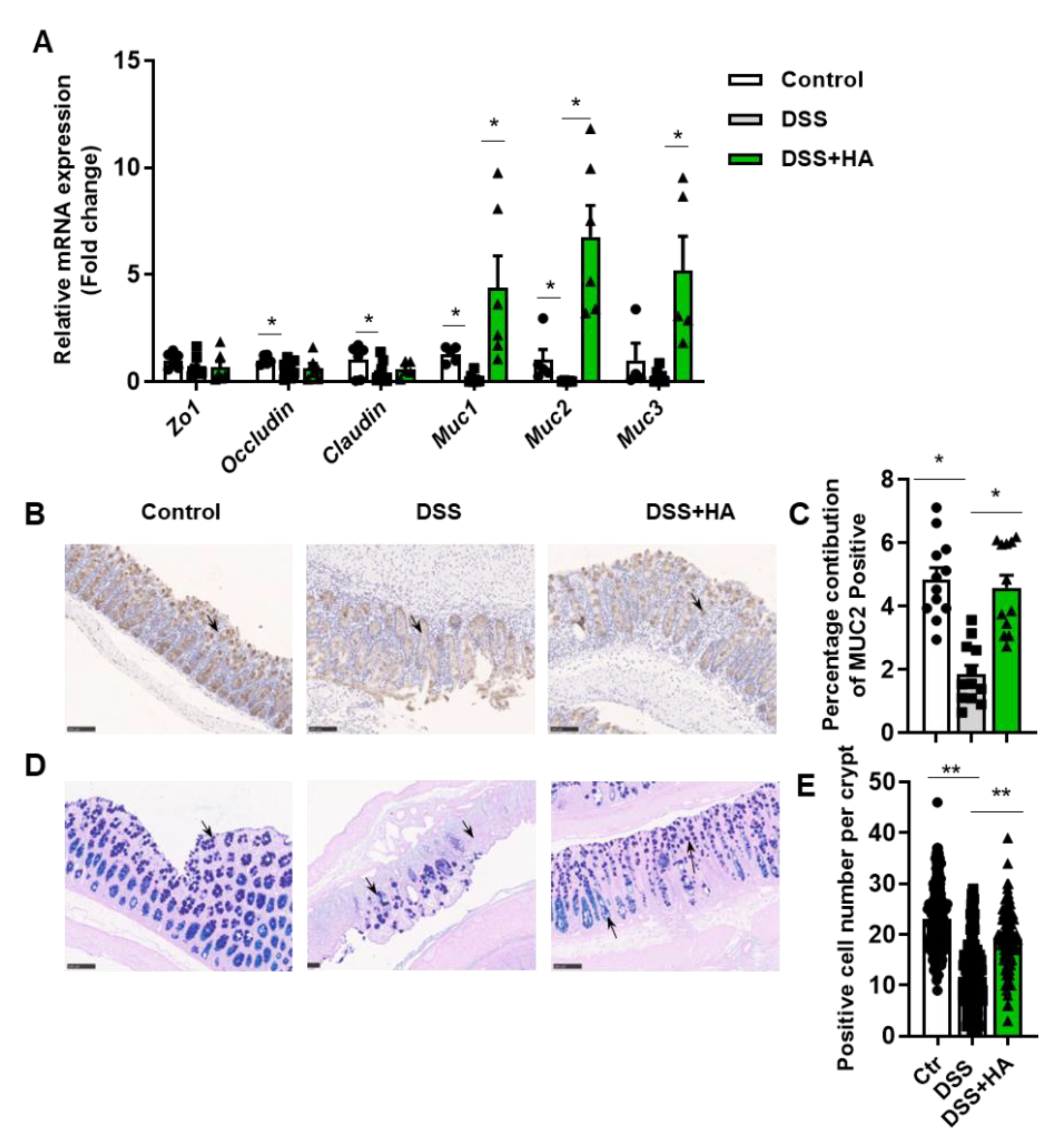 Nutrients 14 05383 g002 Nutrients 14 05383 g002