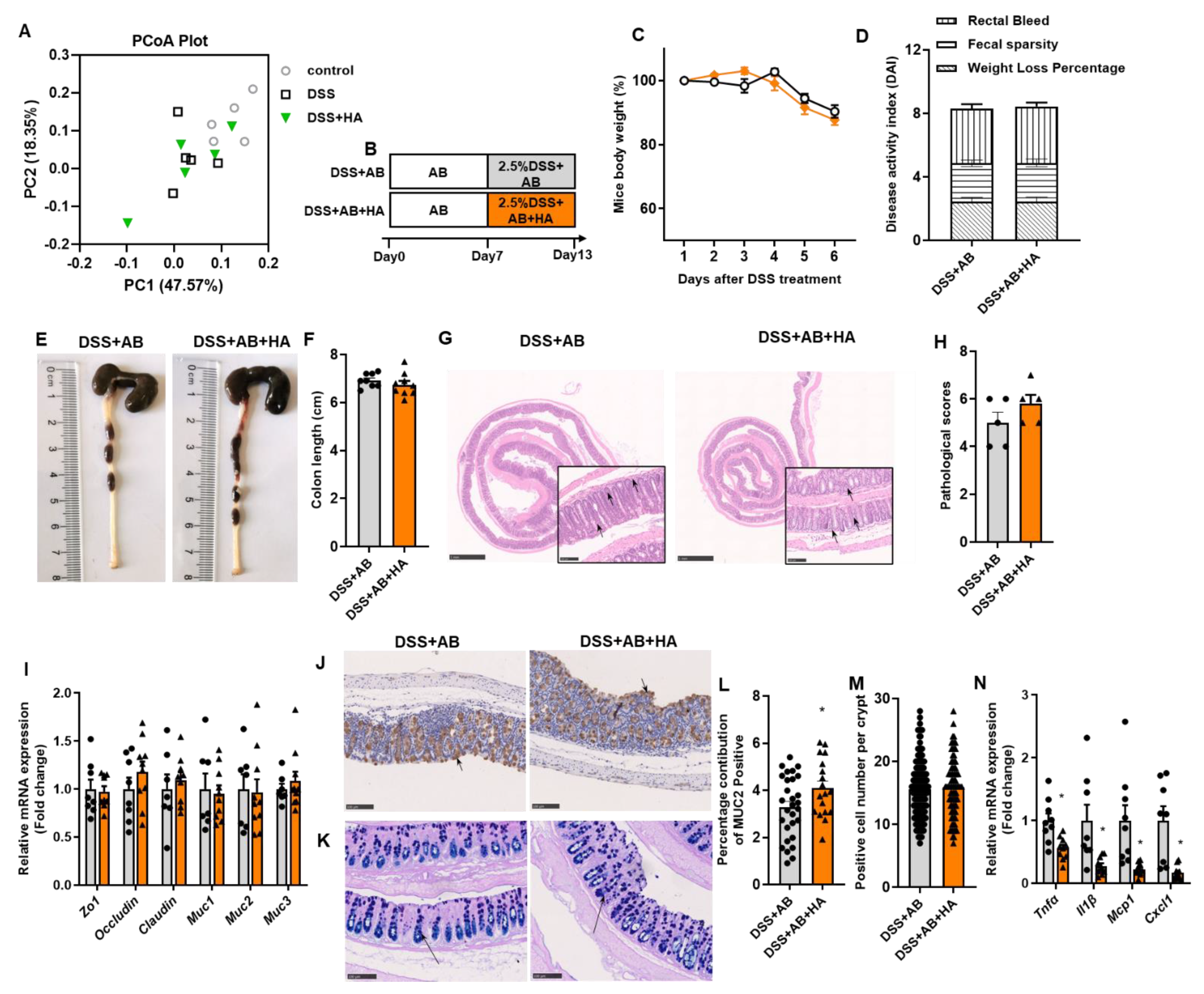 Nutrients 14 05383 g003 Nutrients 14 05383 g003