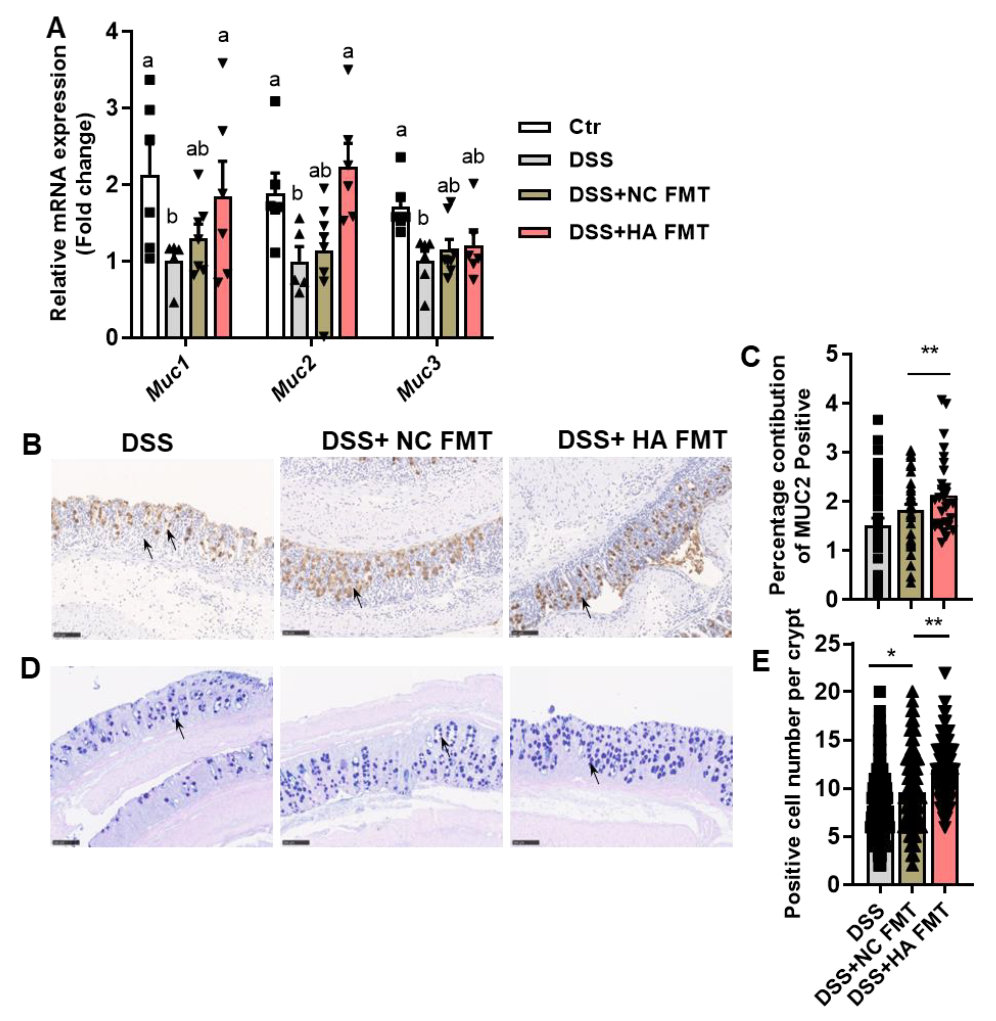 Nutrients 14 05383 g005 Nutrients 14 05383 g005