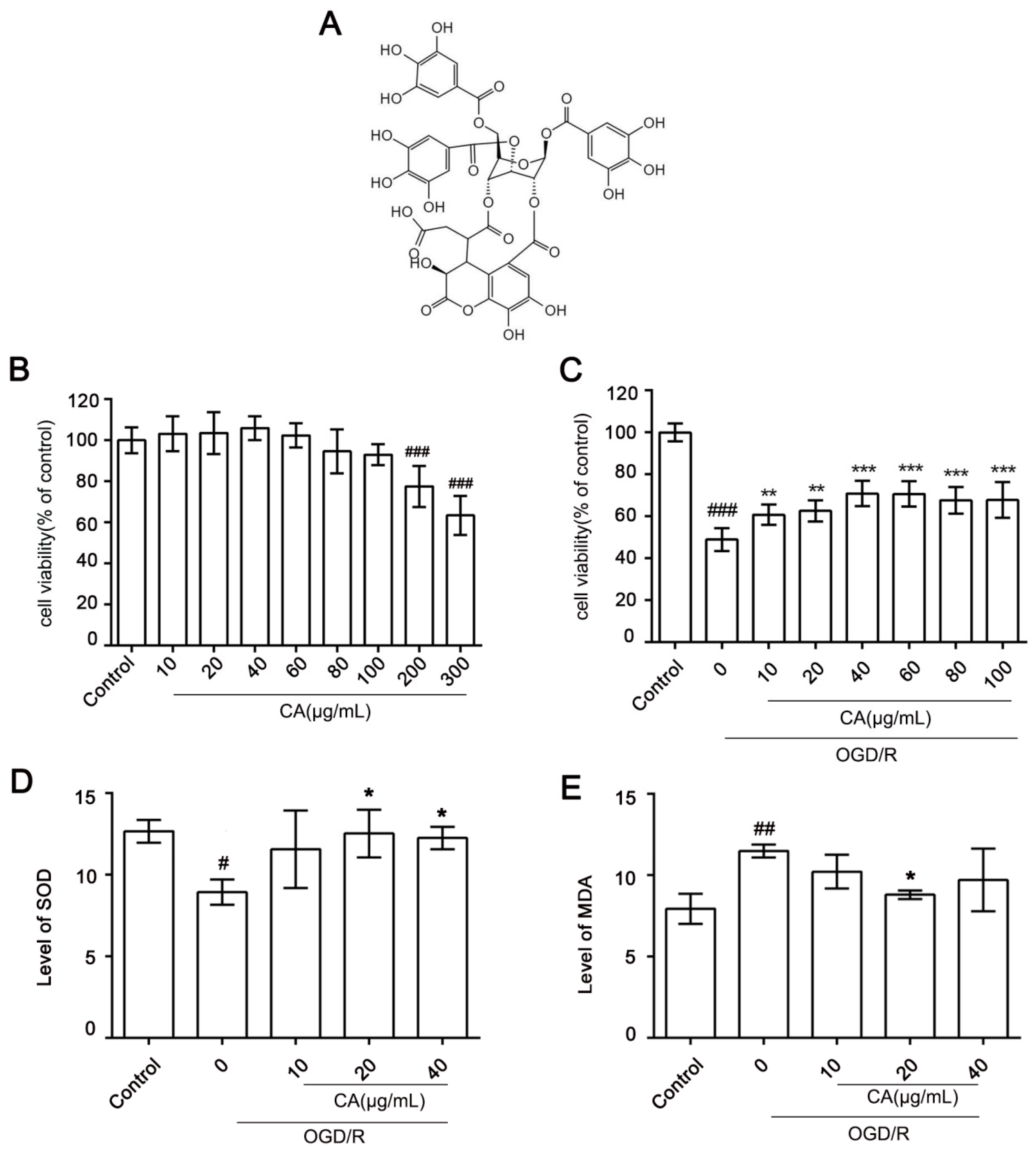 Nutrients 14 05390 g001