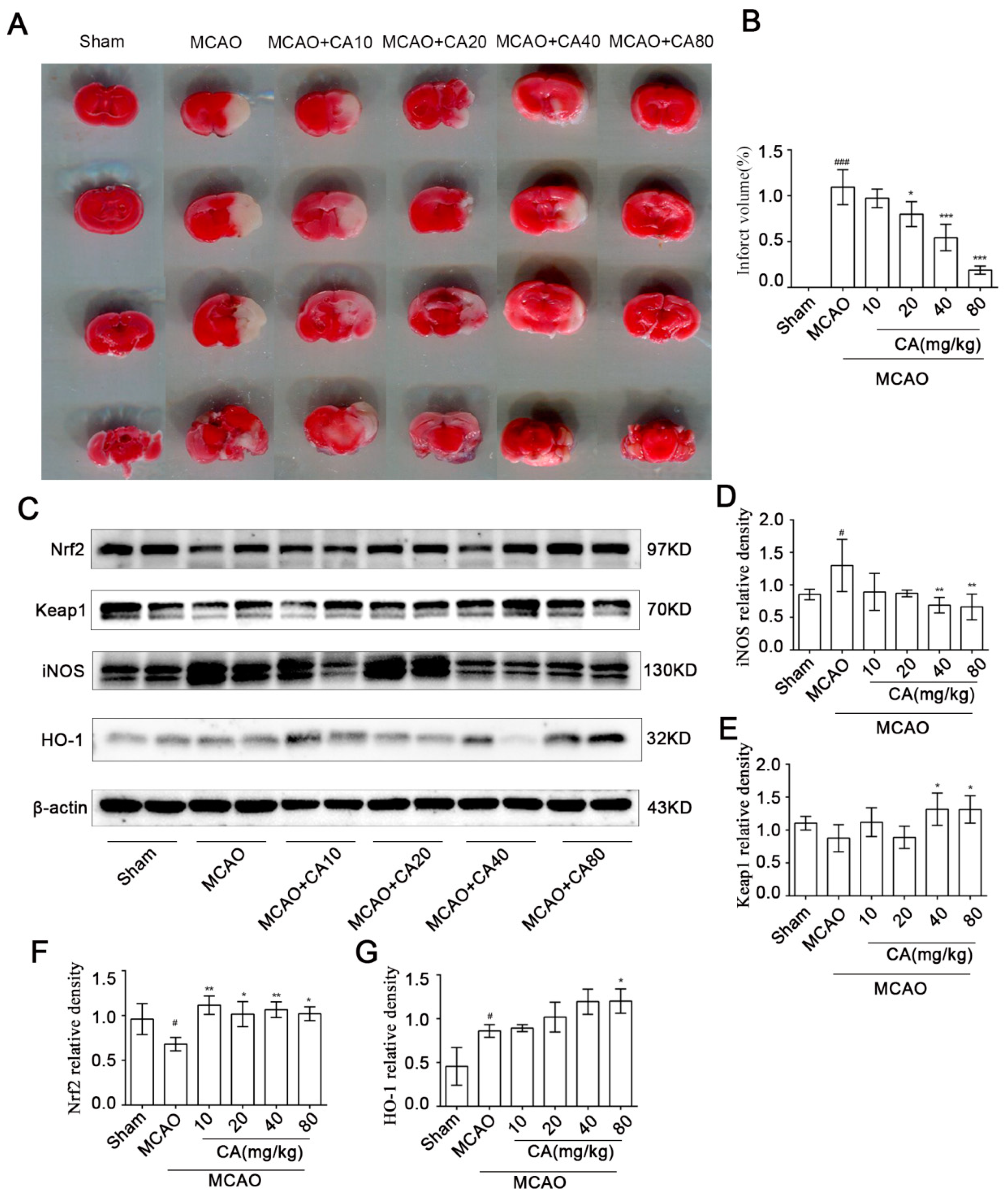 Nutrients 14 05390 g005