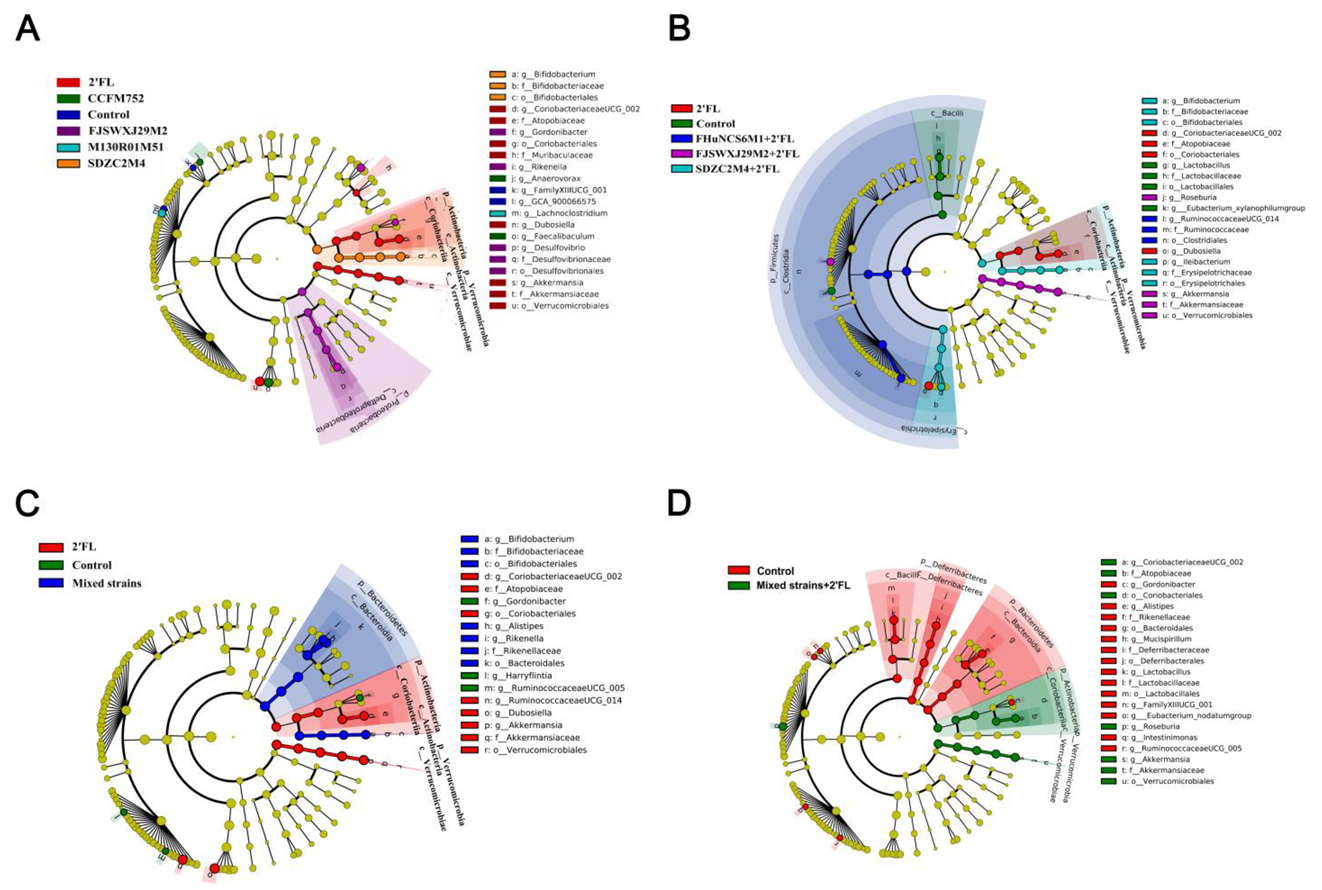 Nutrients 14 05392 g007