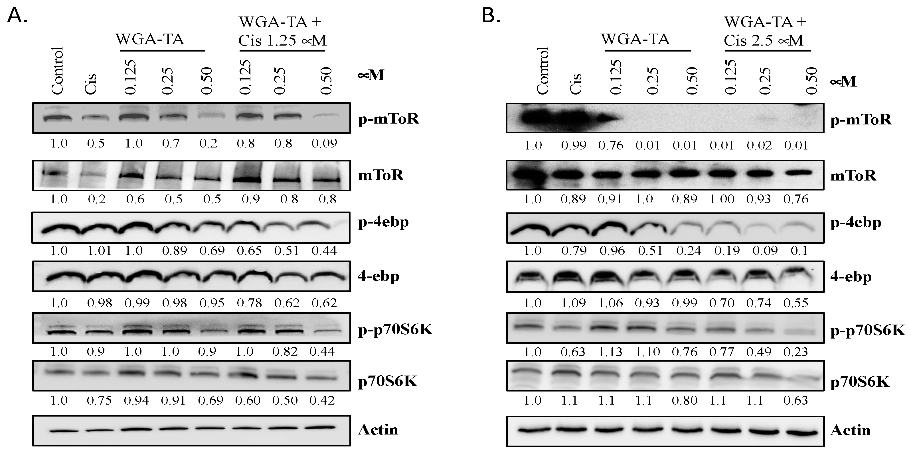 Nutrients 14 05398 g002