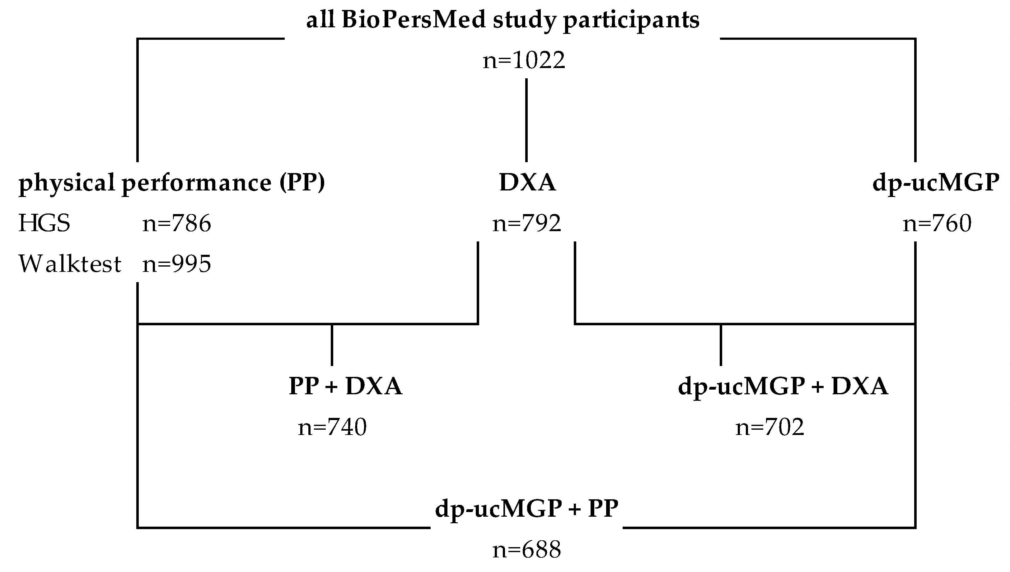 Nutrients 14 05400 g001 Nutrients 14 05400 g001