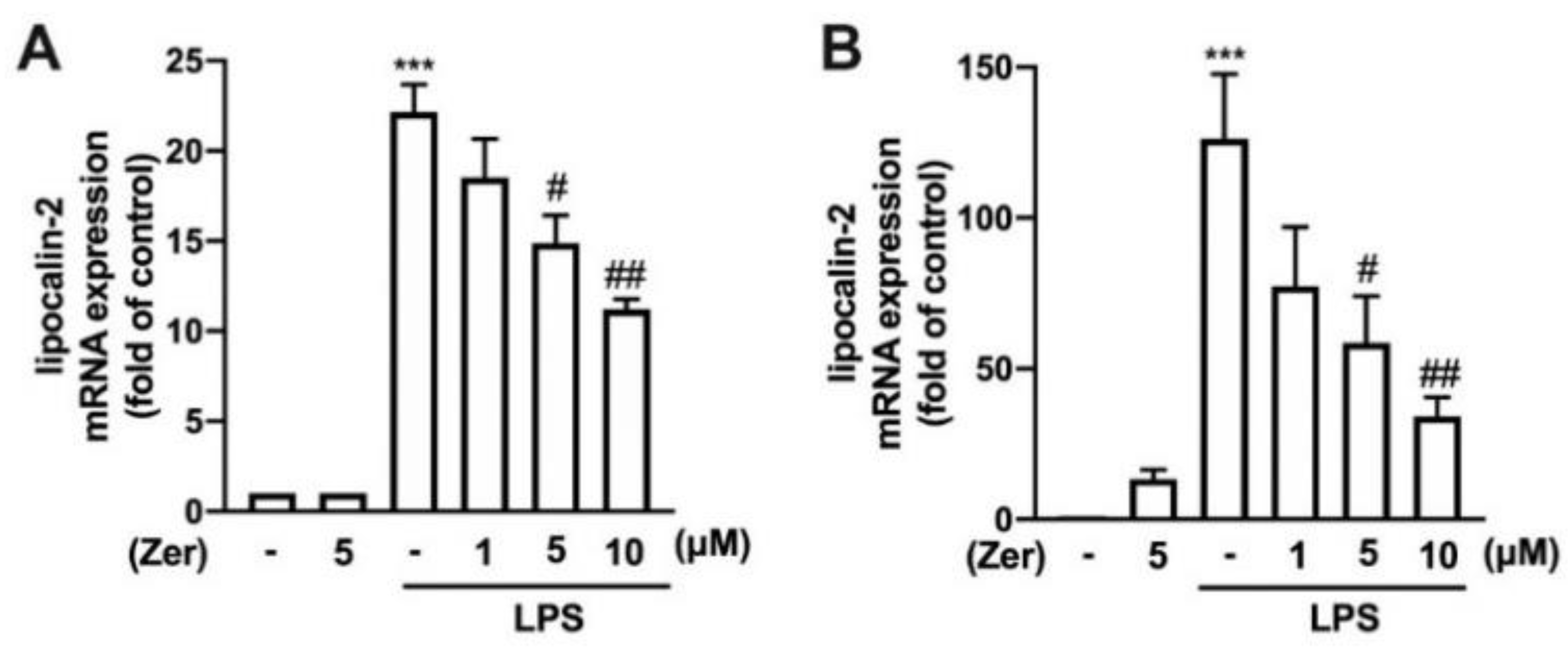 Nutrients 14 05402 g001 Nutrients 14 05402 g001