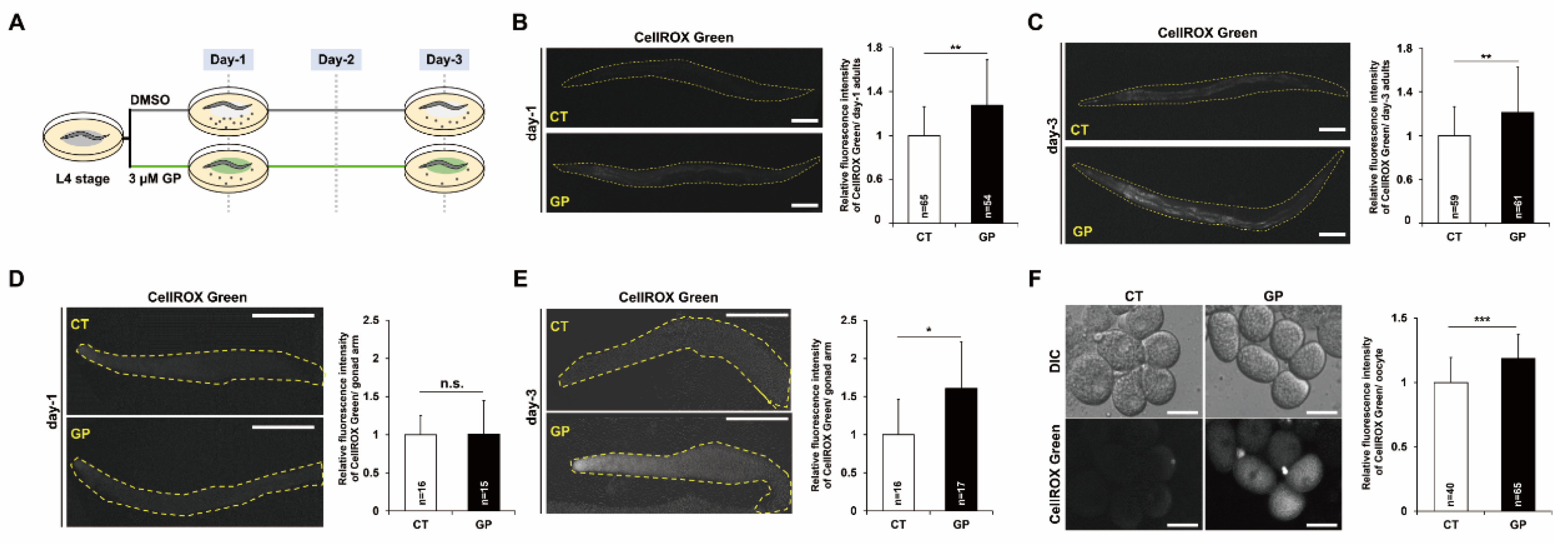 Nutrients 14 05403 g001 Nutrients 14 05403 g001