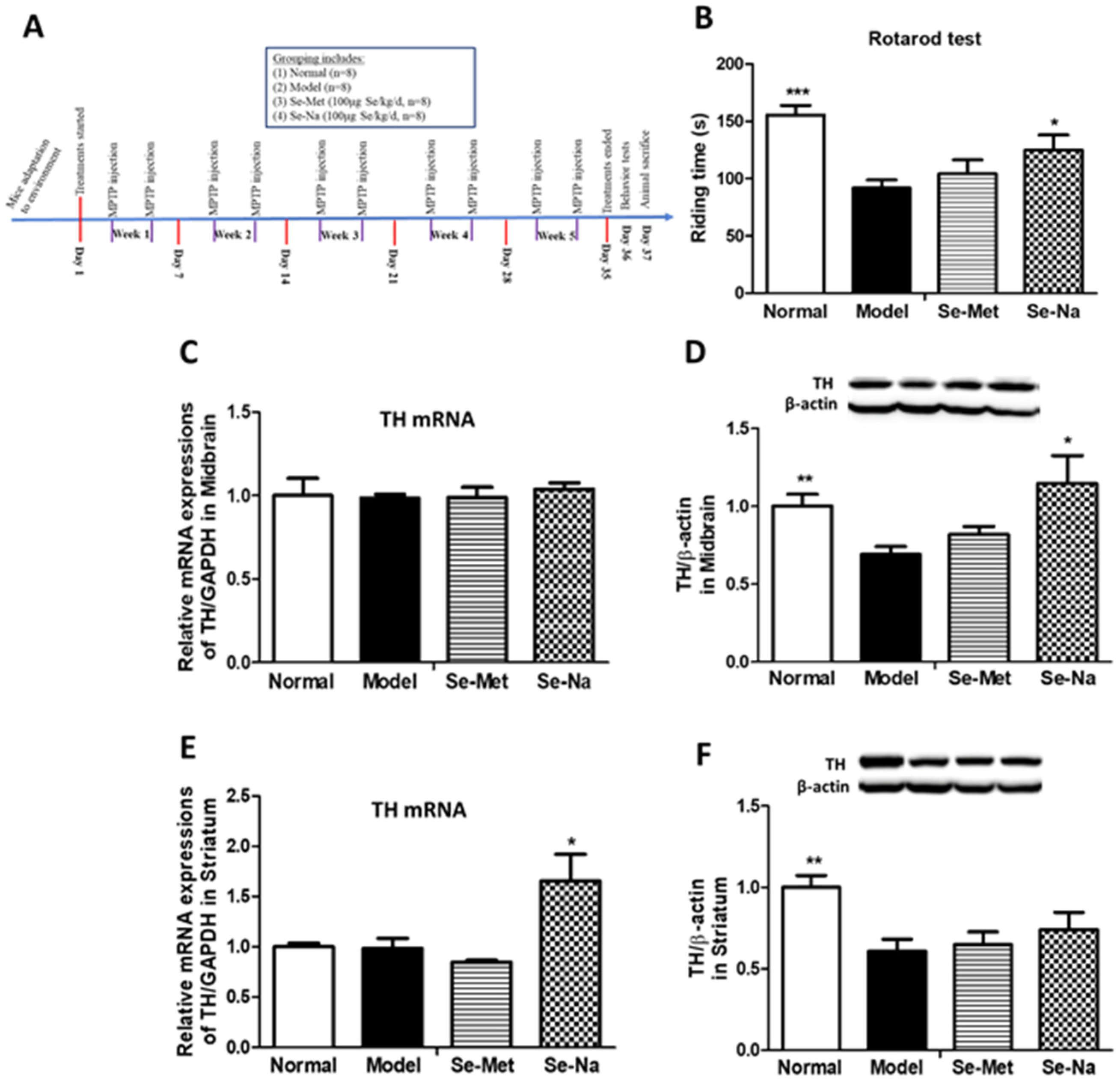 Nutrients 15 00011 g002 Nutrients 15 00011 g002