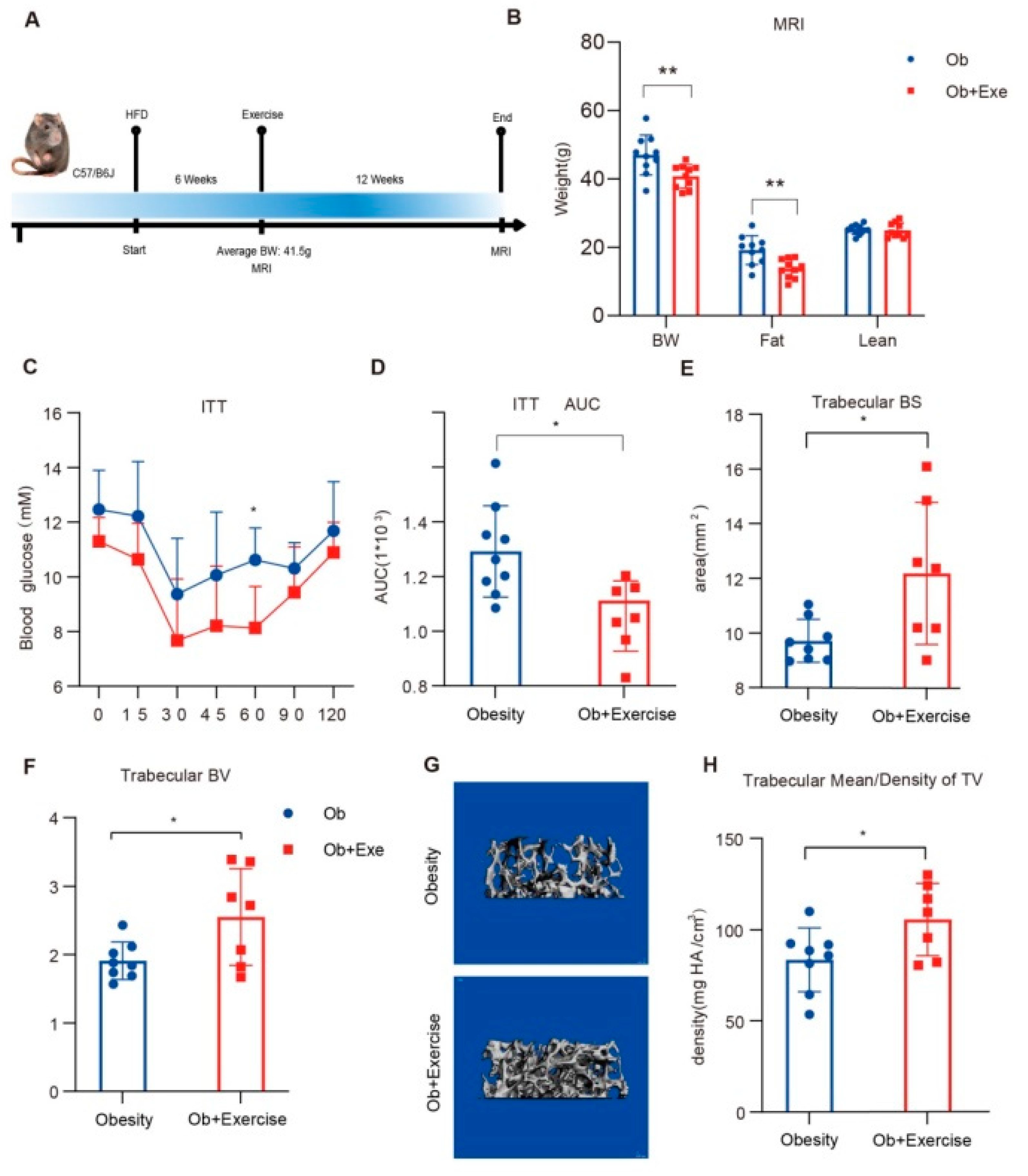 Nutrients 15 00019 g001