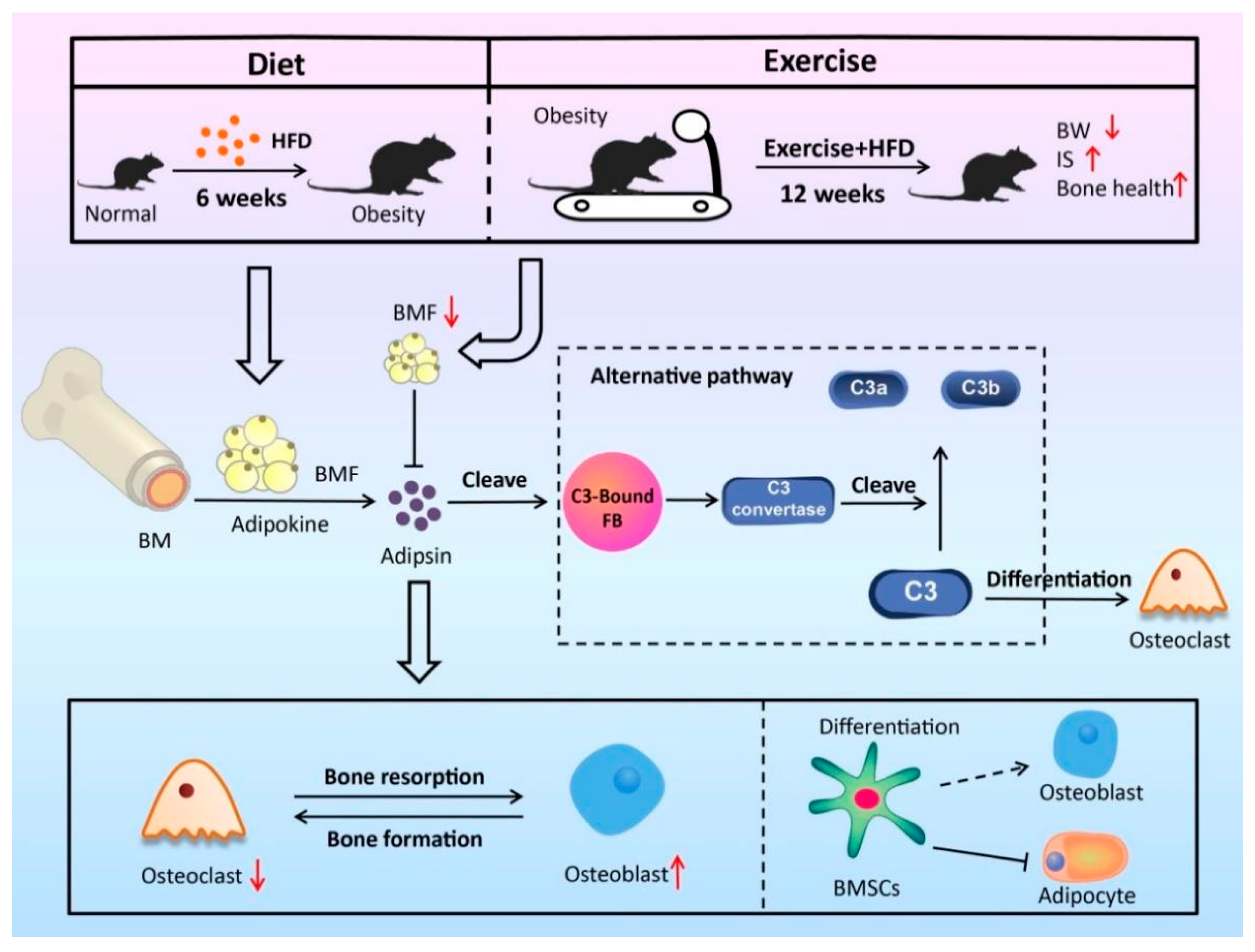 Nutrients 15 00019 g005
