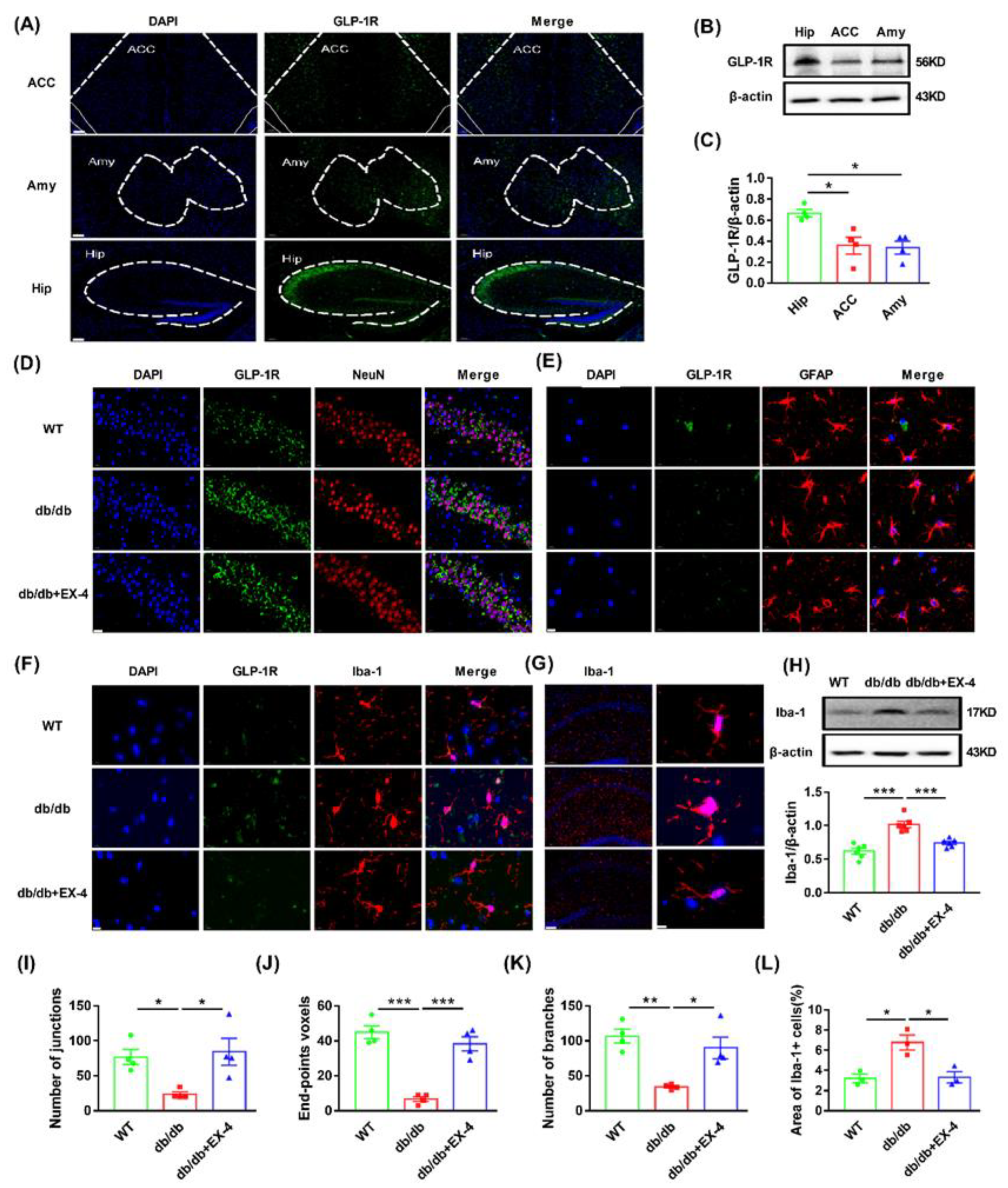 Nutrients 15 00038 g003