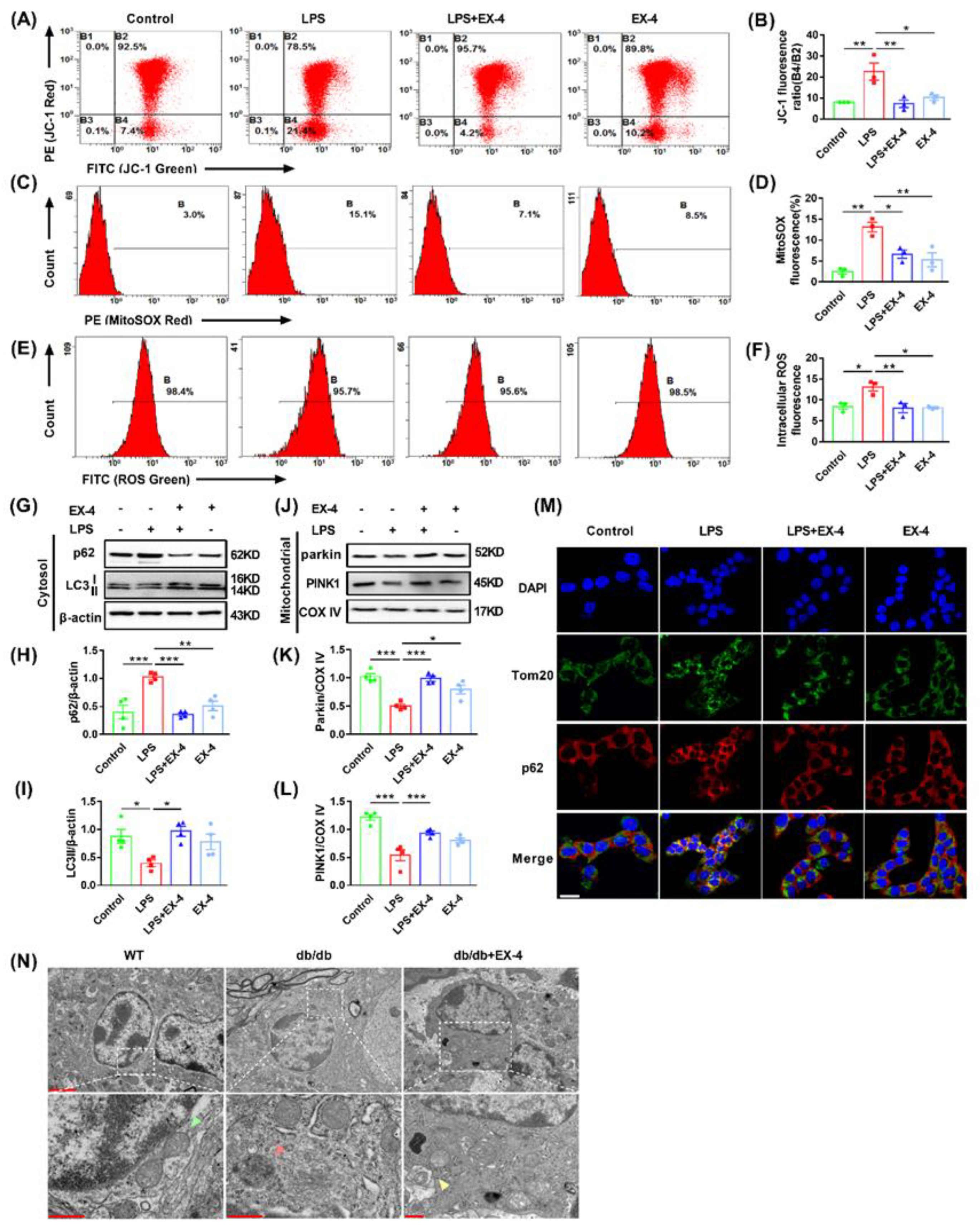 Nutrients 15 00038 g006