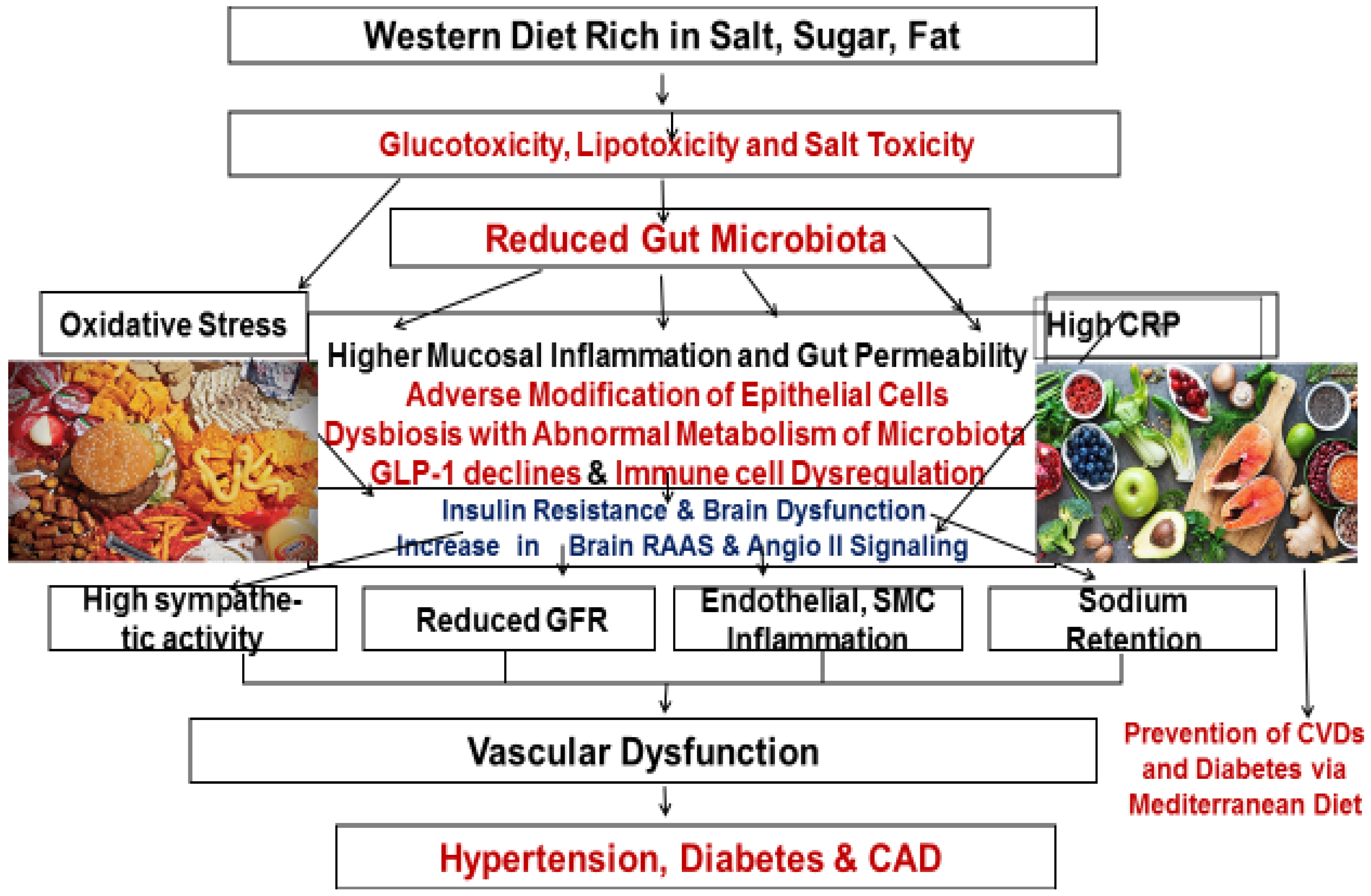 Nutrients 15 00046 g003