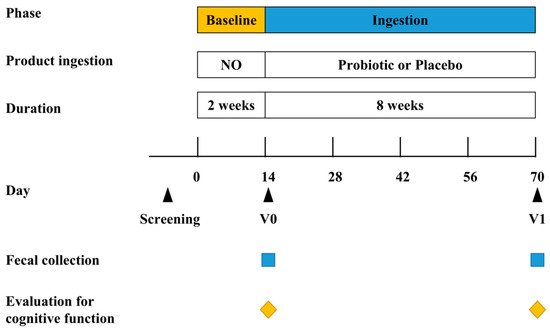 Probiotic Bifidobacterium longum BB68S Improves Cognitive Probiotic Bifidobacterium longum BB68S Improves Cognitive