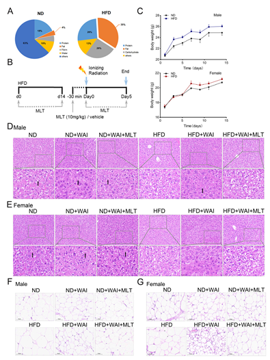 Nutrients 15 00064 g001 Nutrients 15 00064 g001