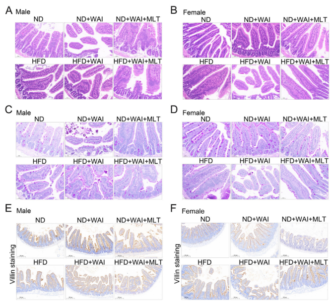 Nutrients 15 00064 g002 Nutrients 15 00064 g002