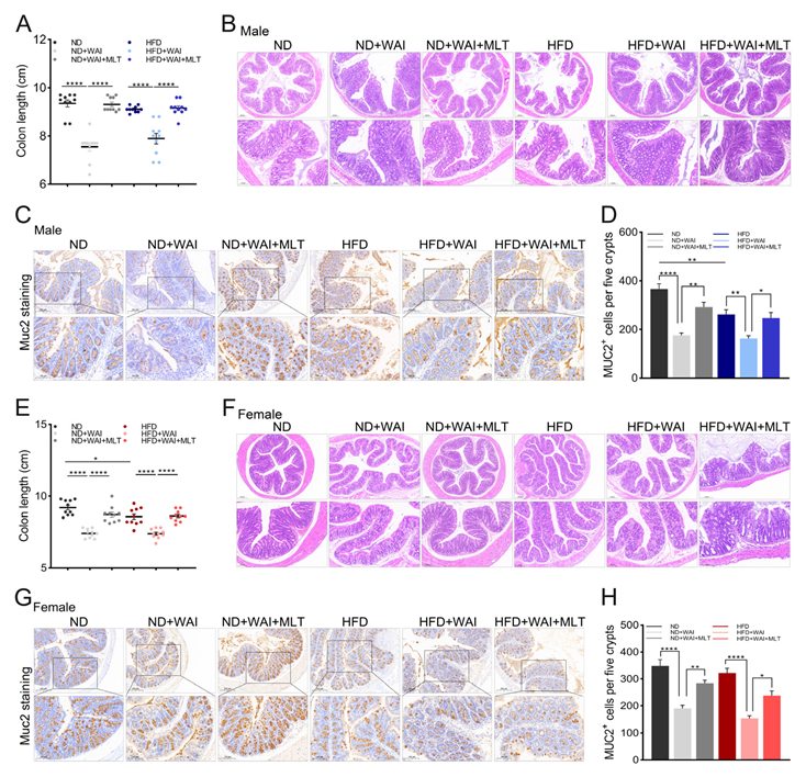 Nutrients 15 00064 g004 Nutrients 15 00064 g004