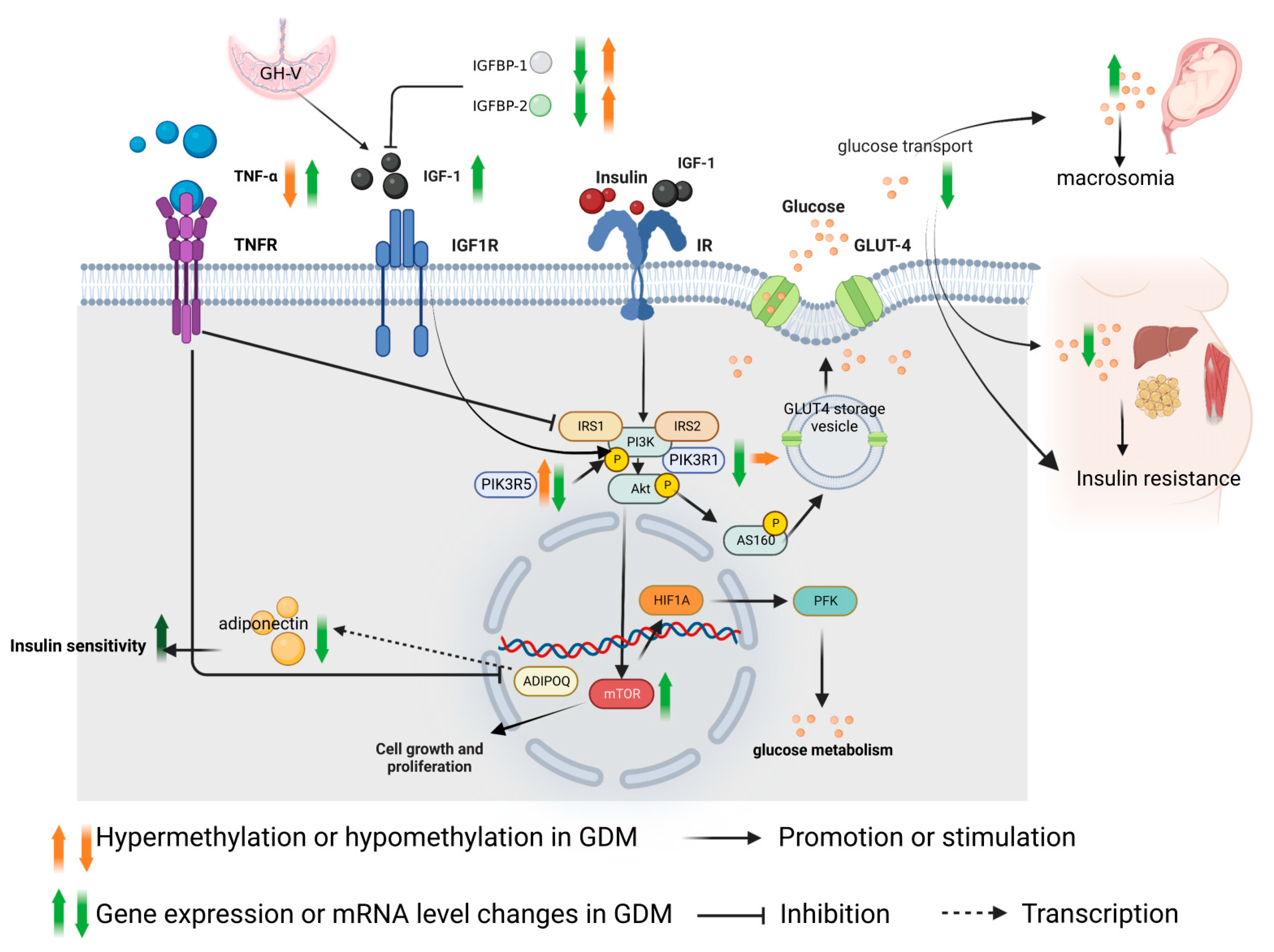 Nutrients 15 00070 g002