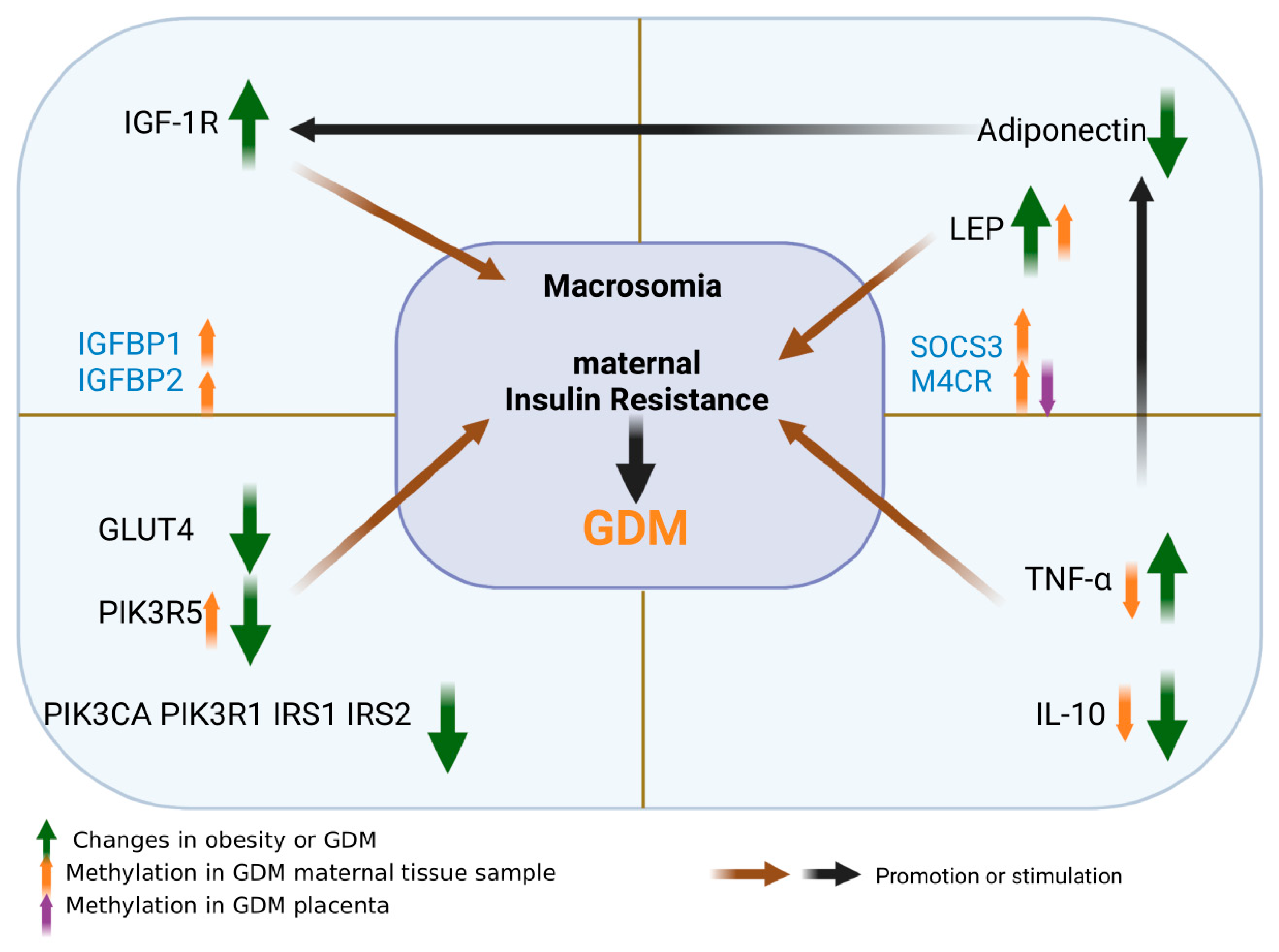 Nutrients 15 00070 g004