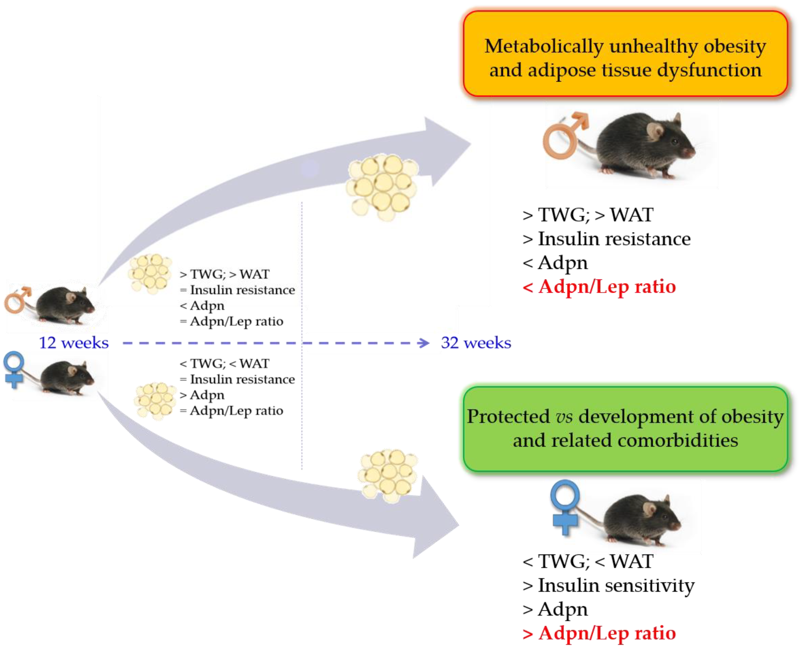 Nutrients 15 00073 g006