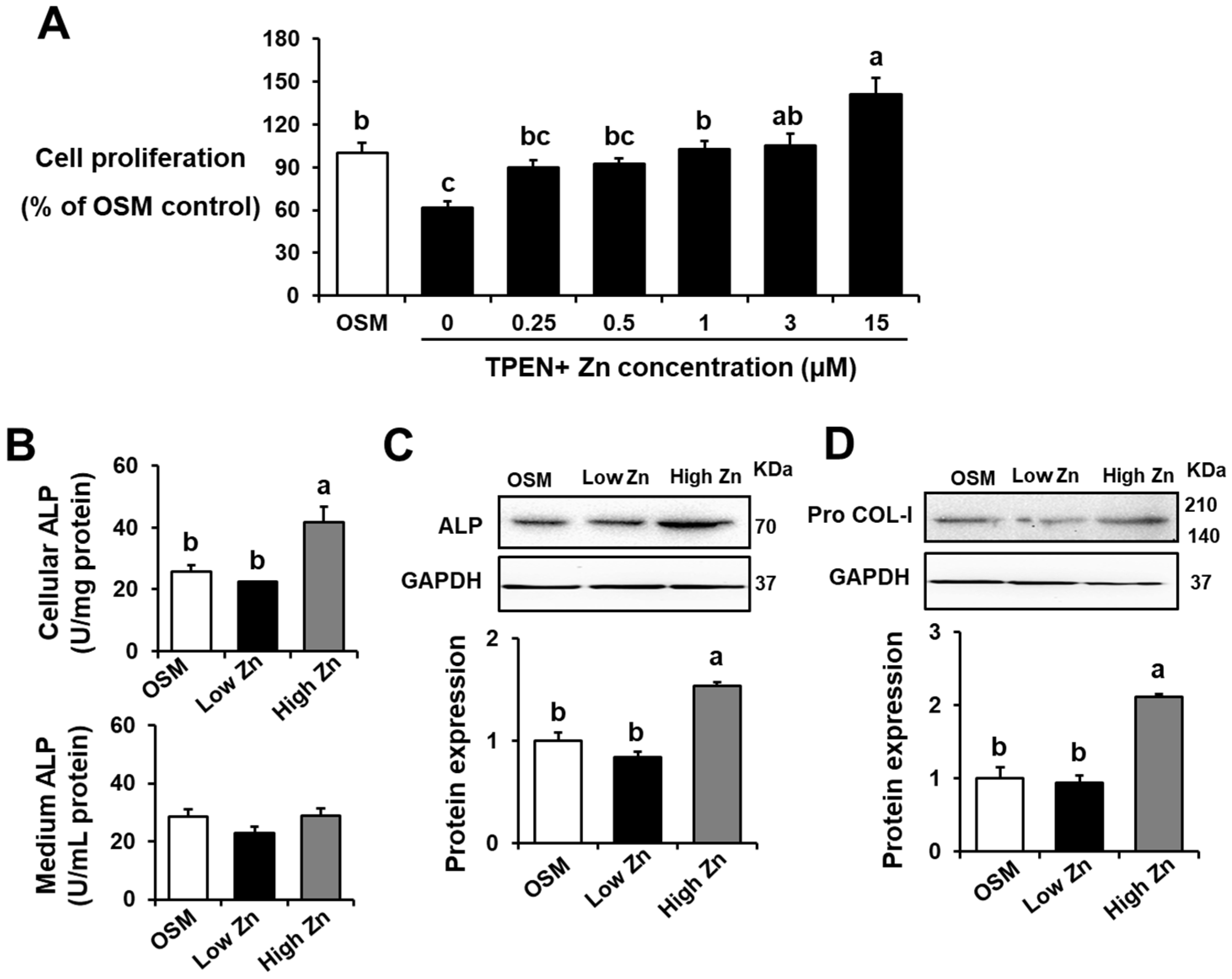 Nutrients 15 00077 g001