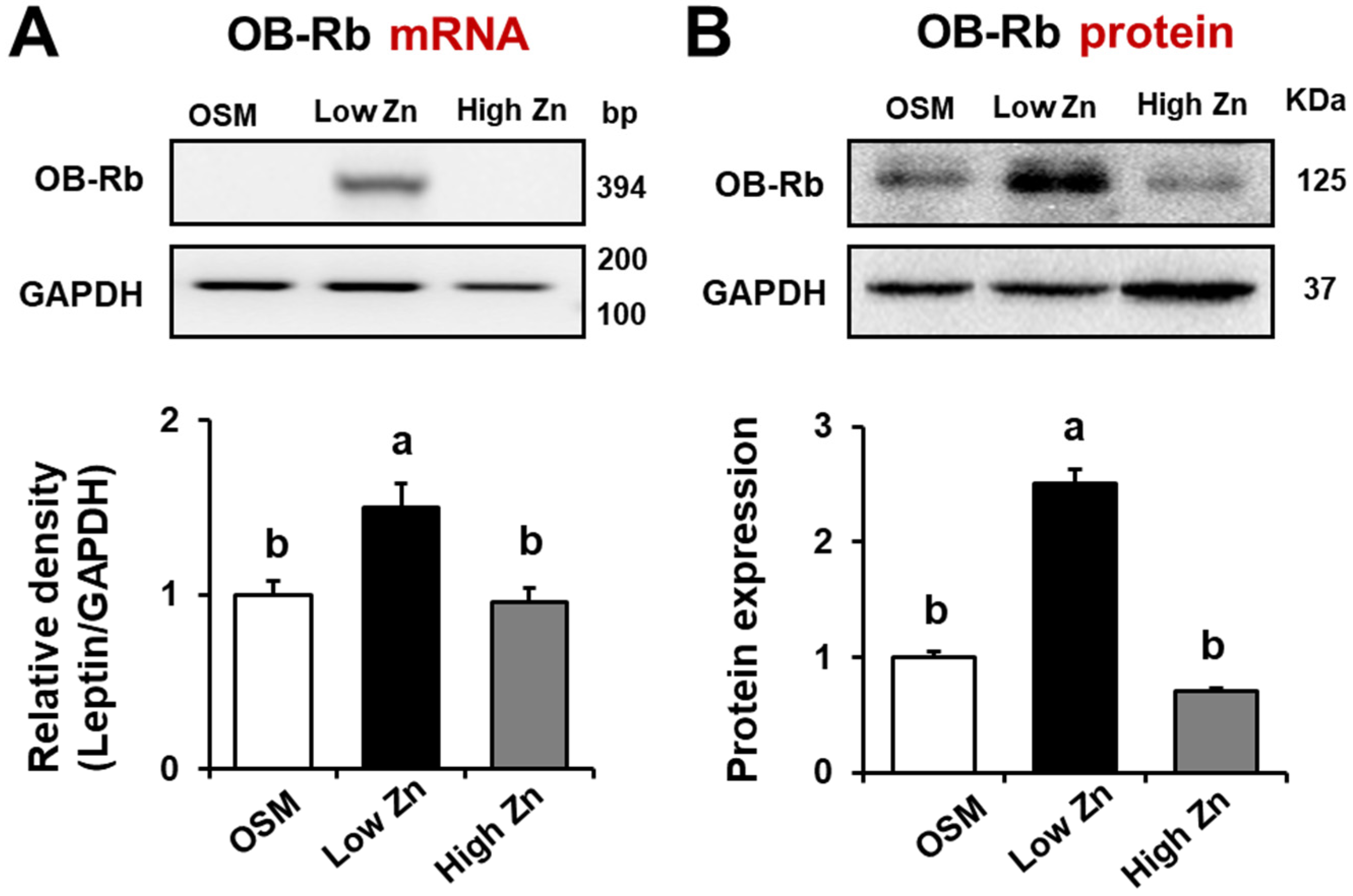 Nutrients 15 00077 g003