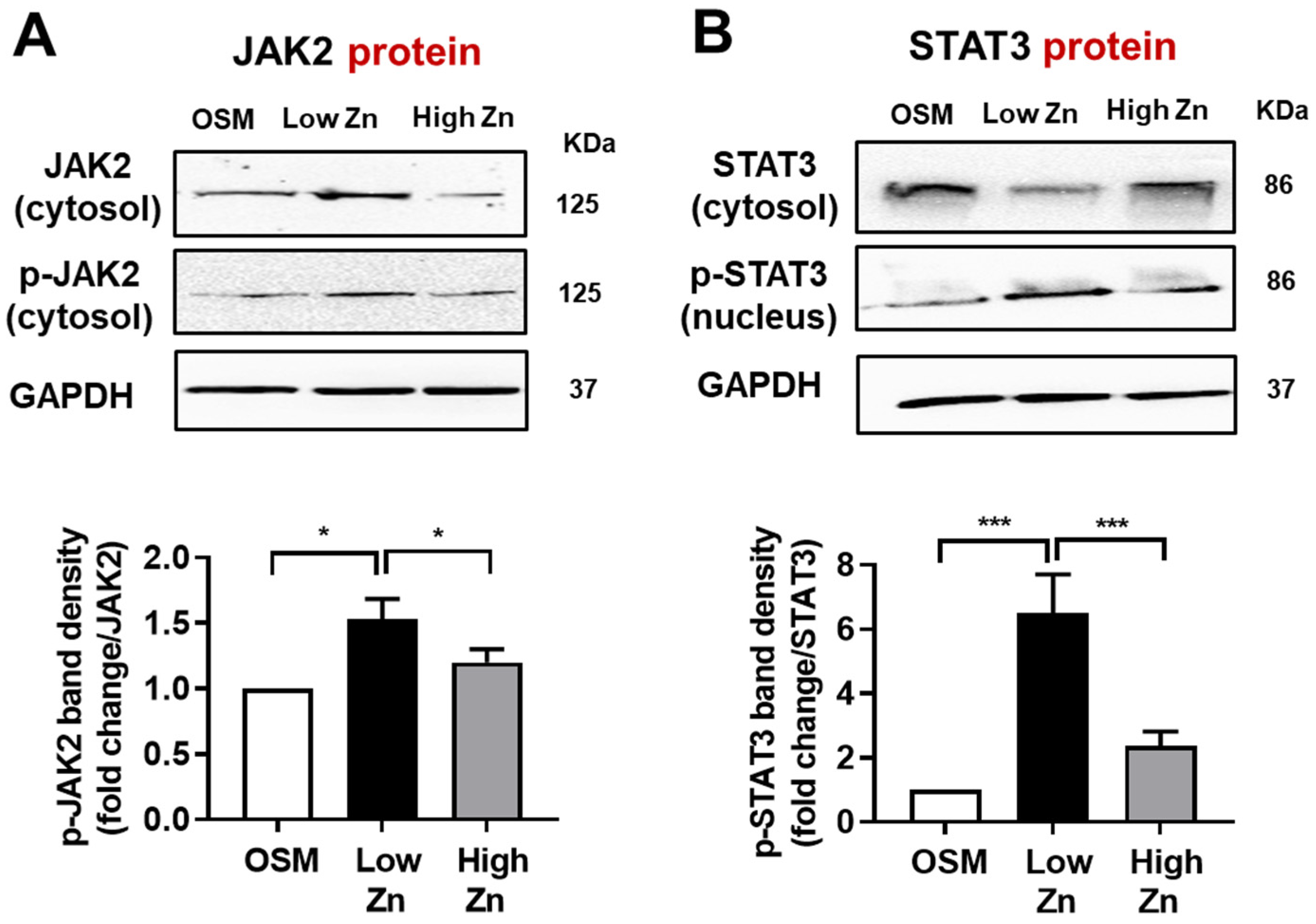 Nutrients 15 00077 g004