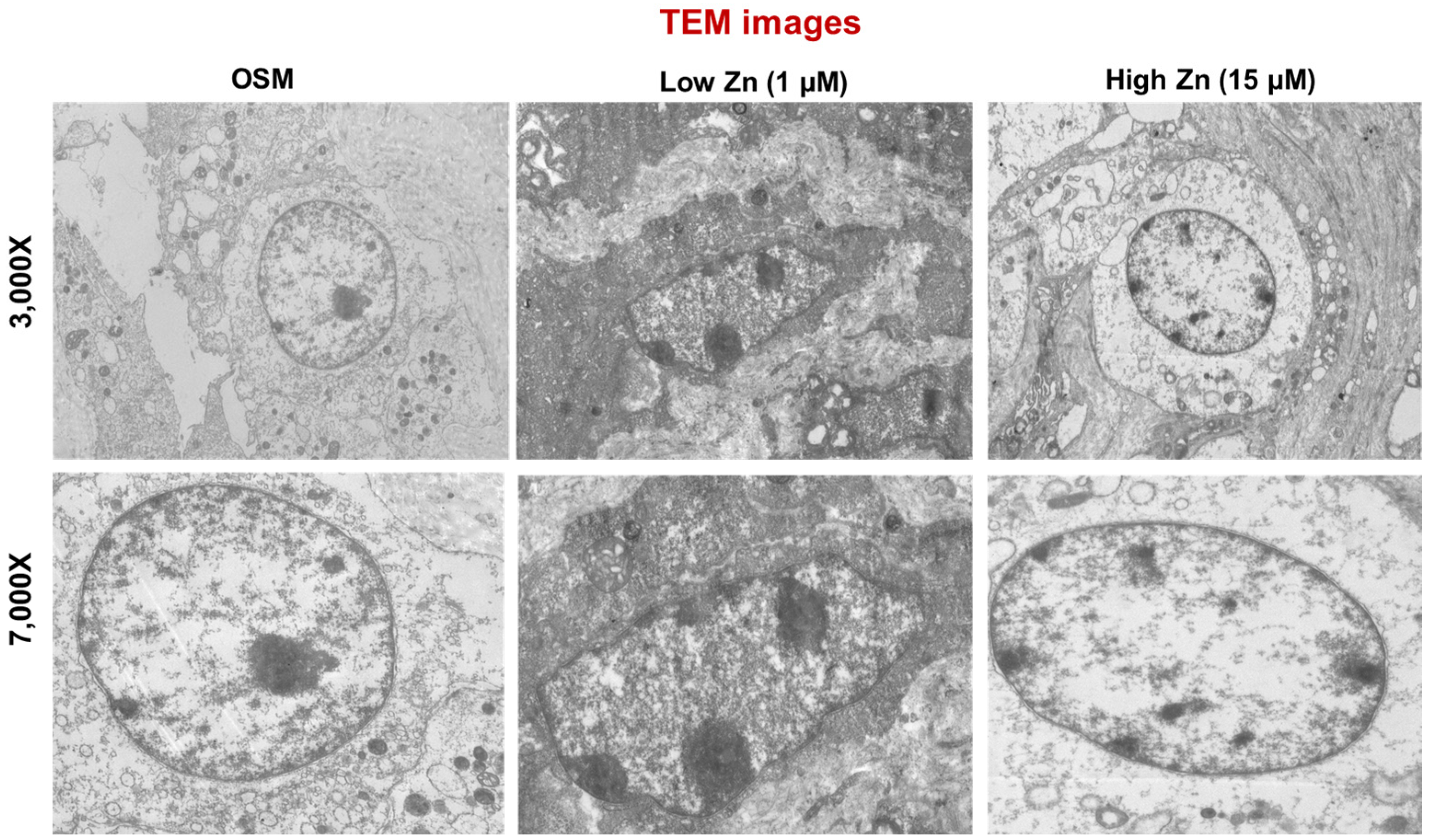 Nutrients 15 00077 g005