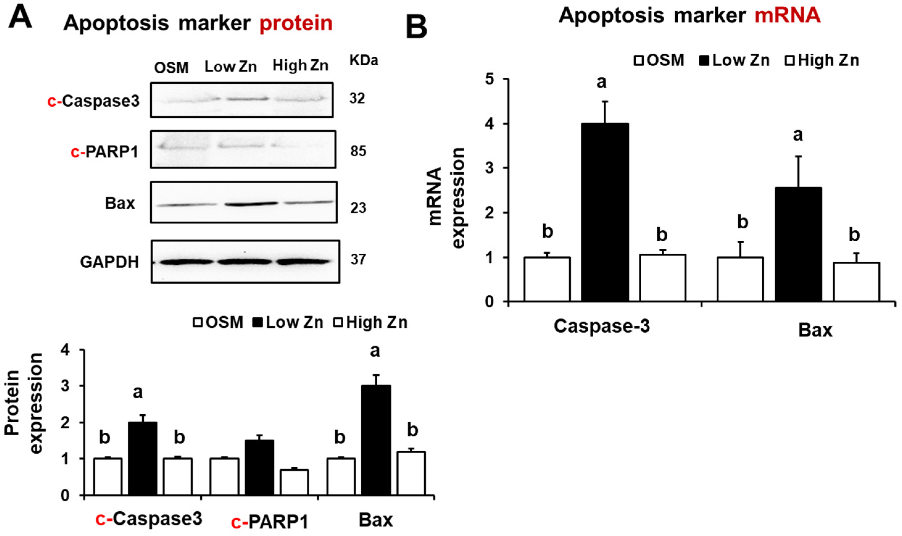 Nutrients 15 00077 g007