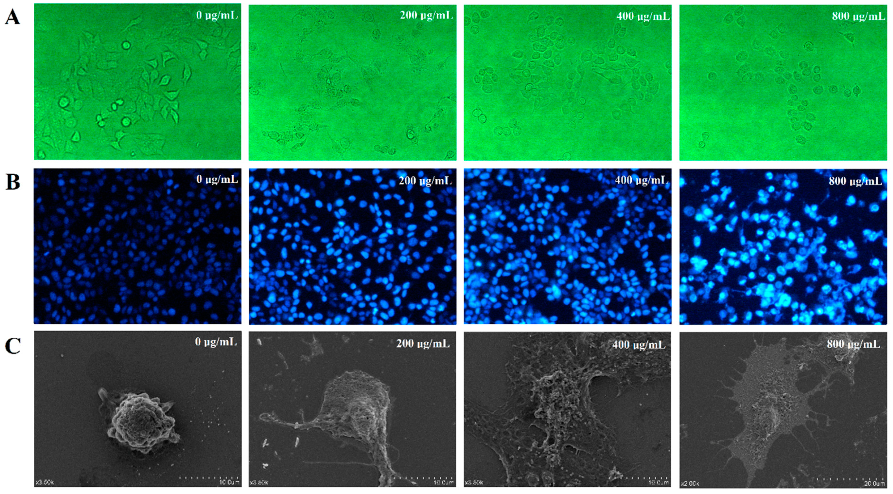 Nutrients 15 00080 g005 Nutrients 15 00080 g005