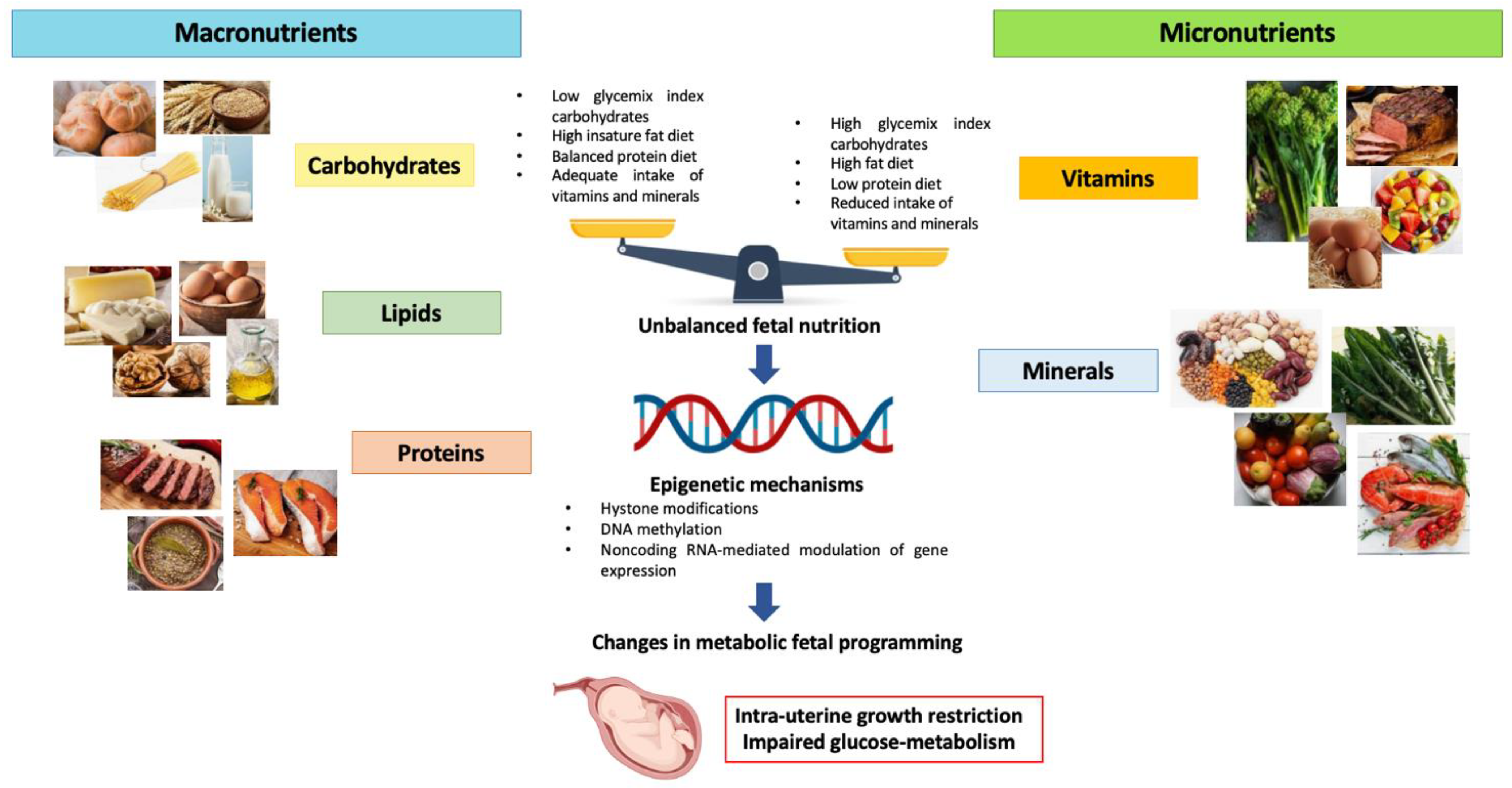 Nutrients 15 00087 g001