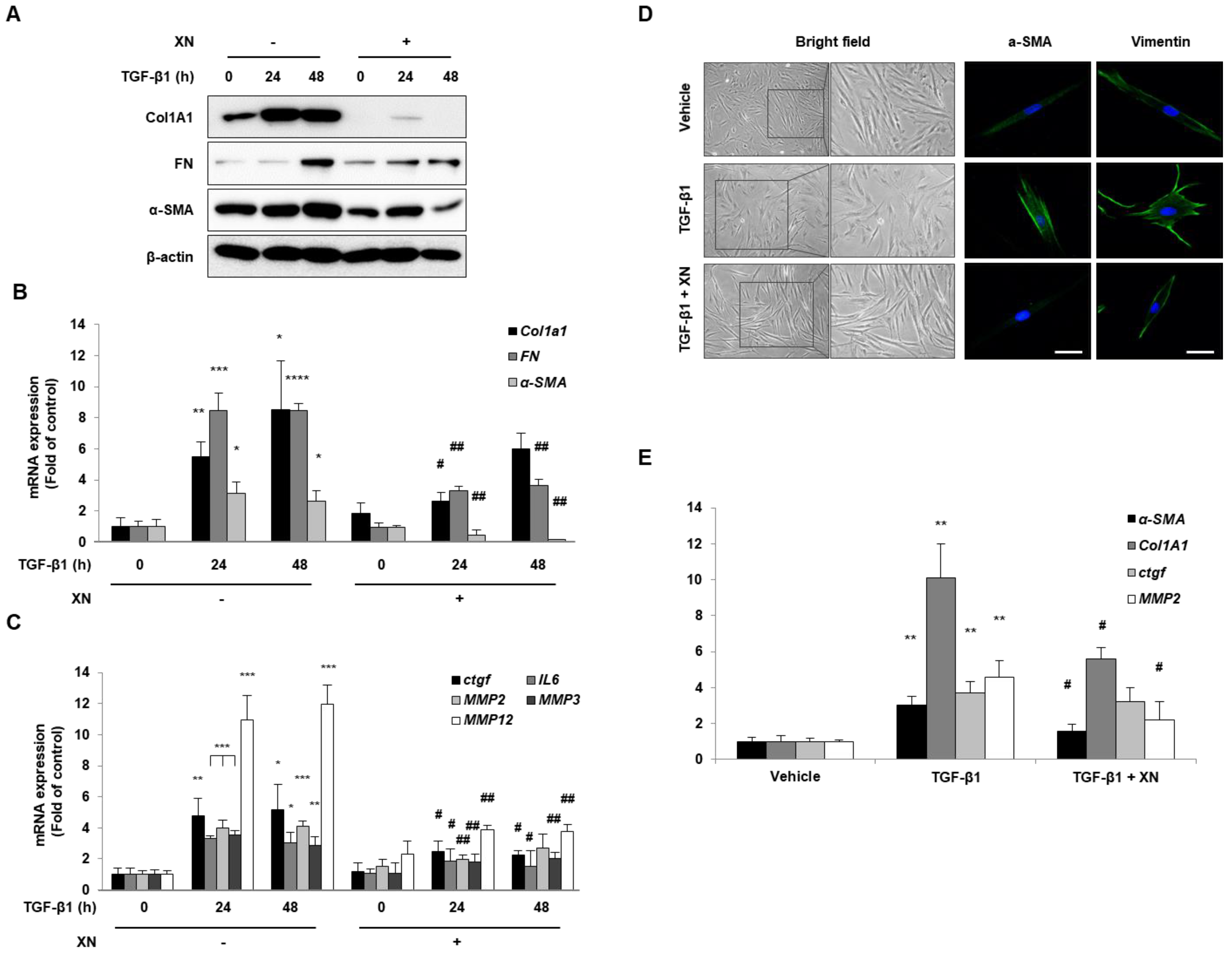 Nutrients 15 00099 g001